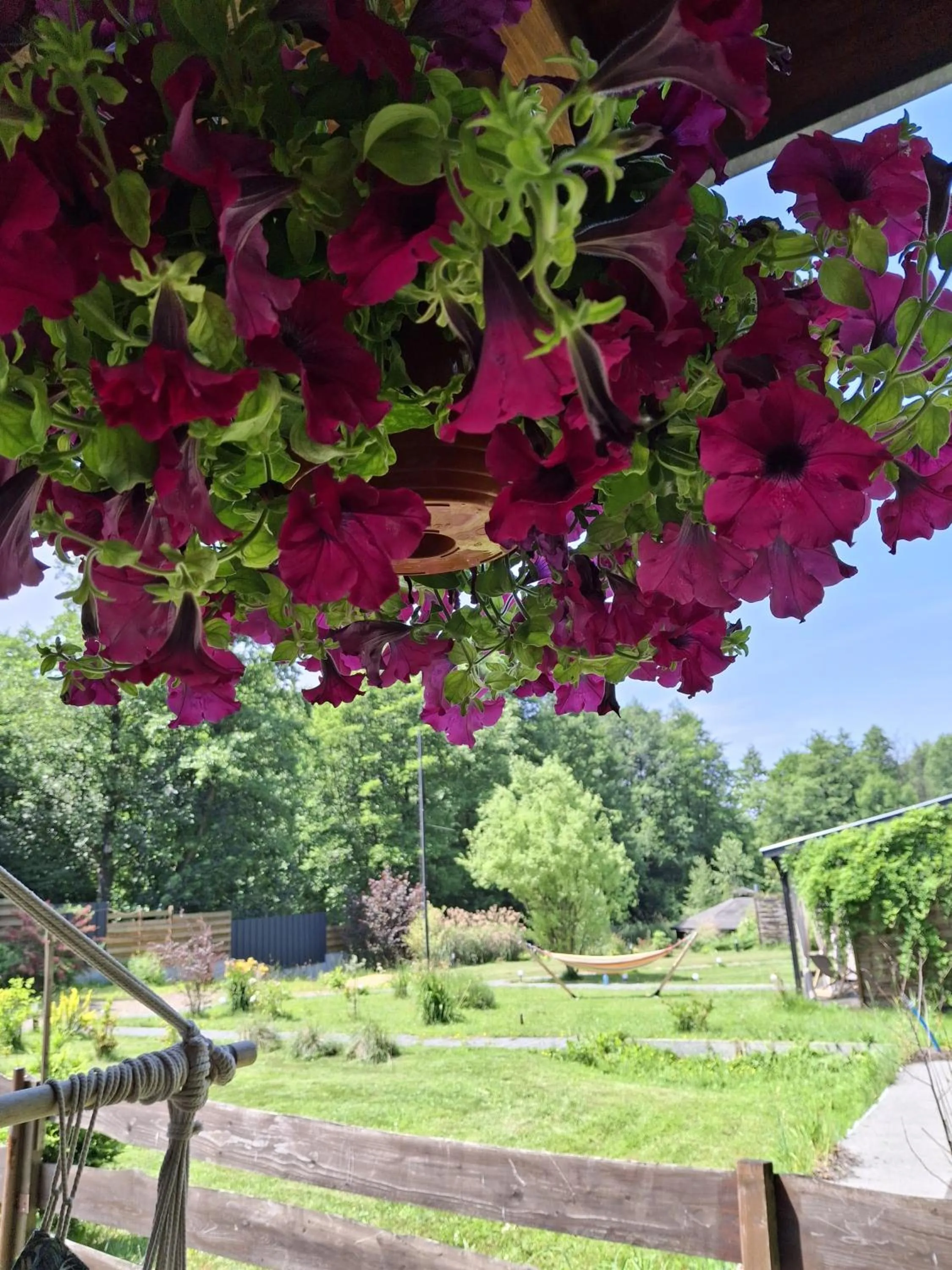 Garden in OSADA POD LASEM