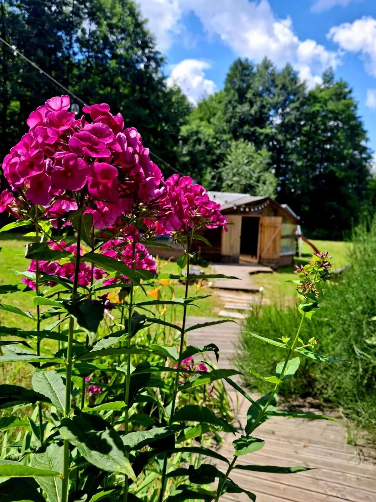 Garden in OSADA POD LASEM