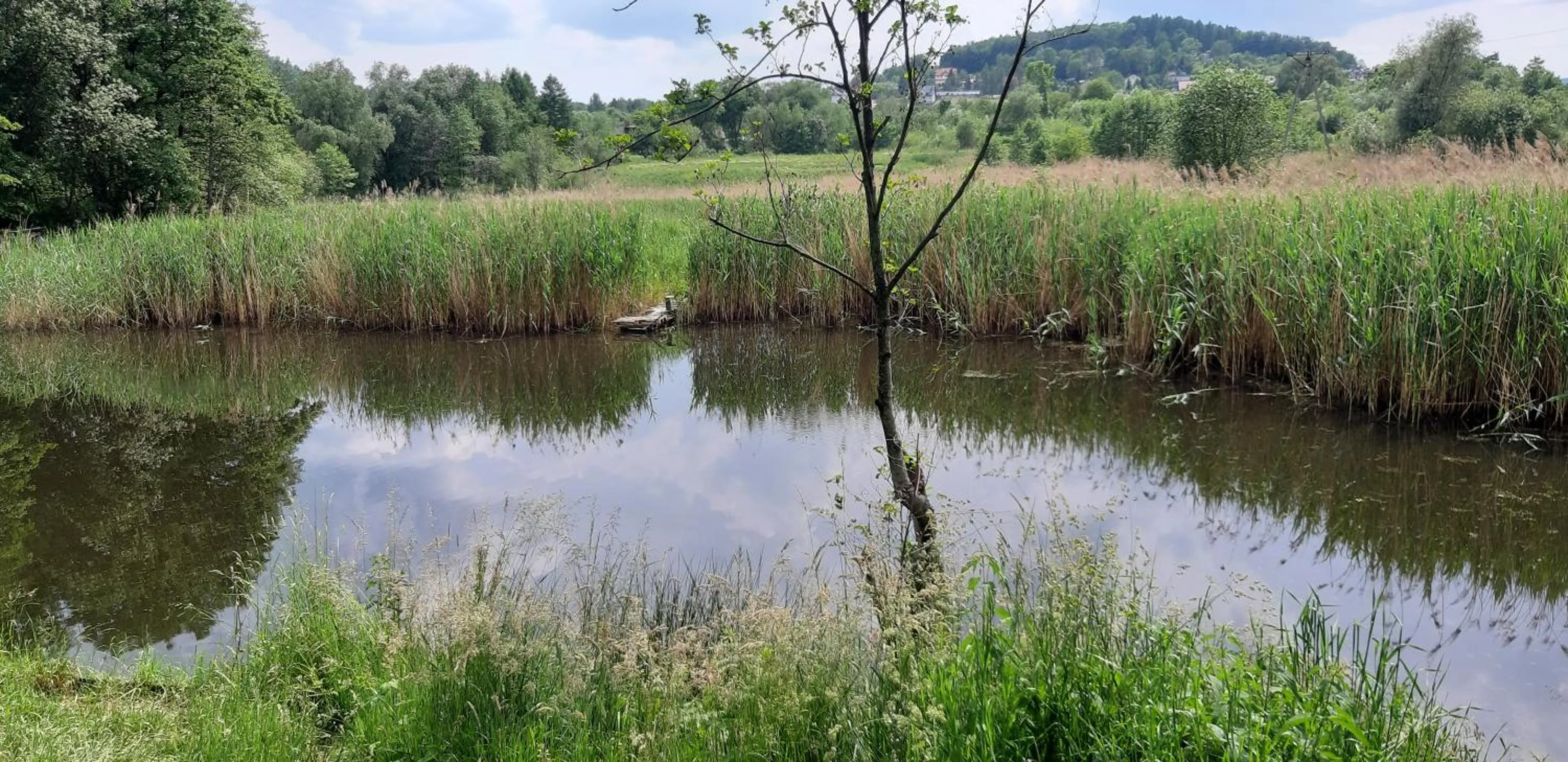 Natural landscape in OSADA POD LASEM