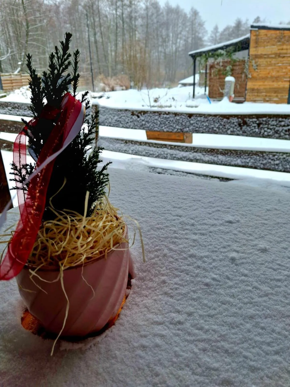 Garden in OSADA POD LASEM