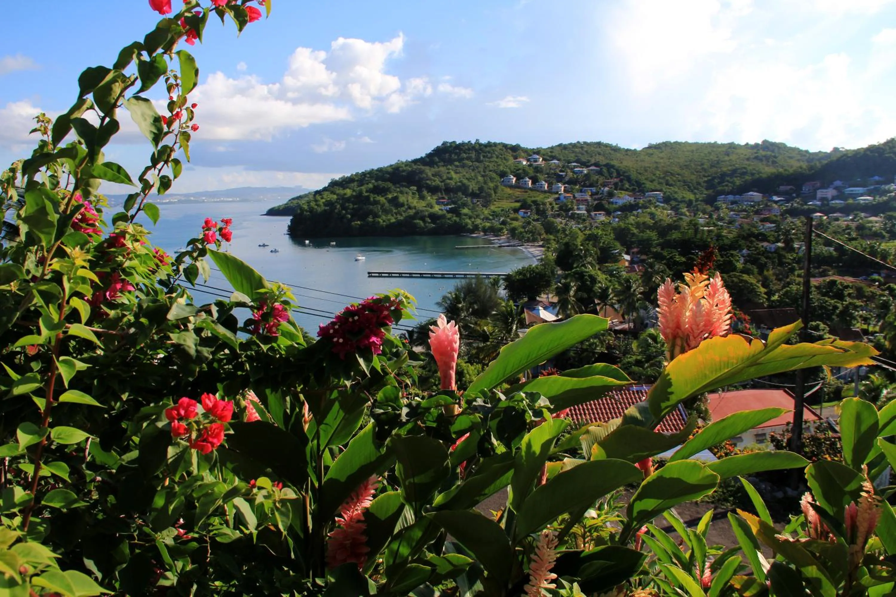 View (from property/room) in Le Panoramic
