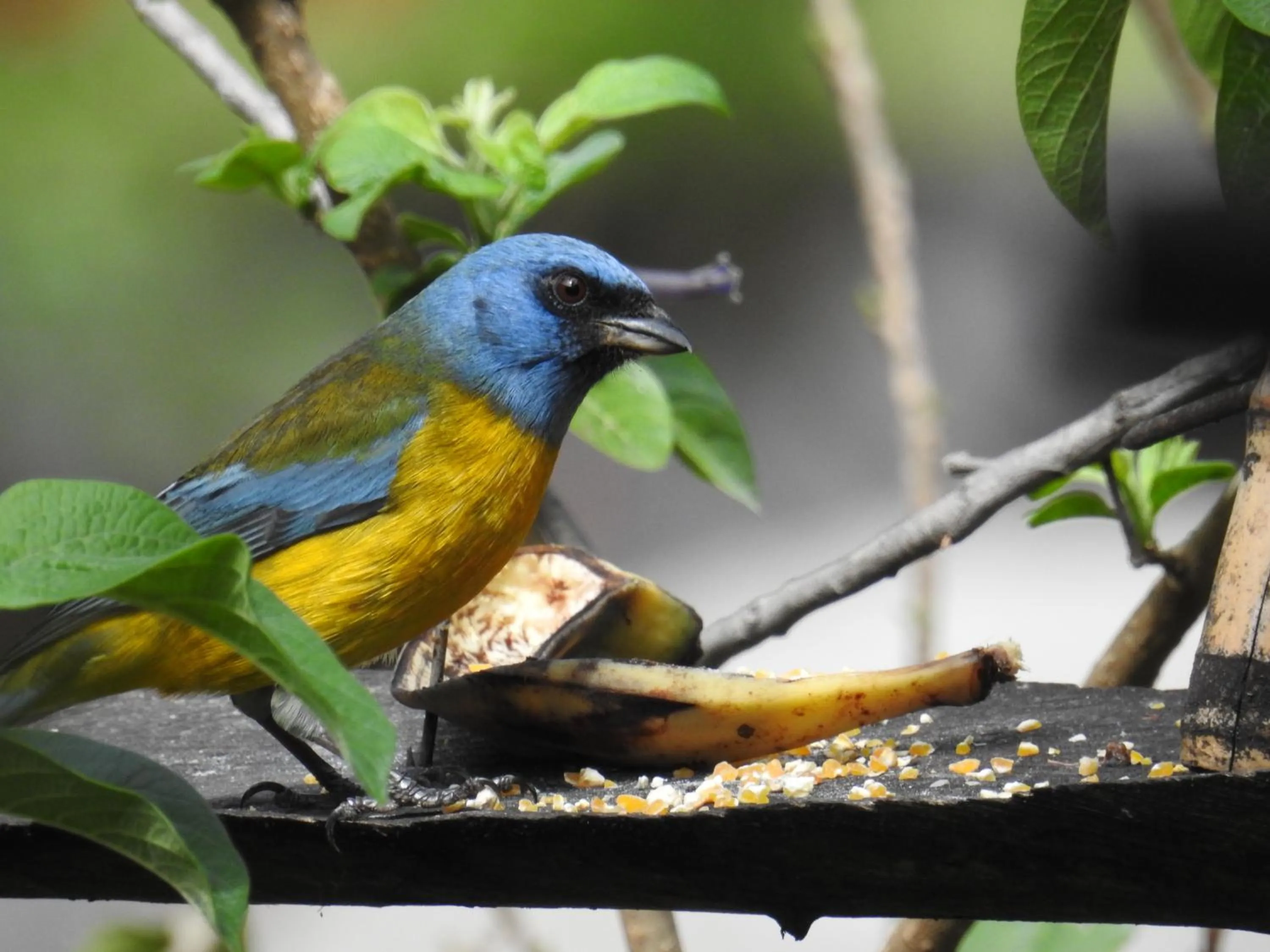 Activities in Hacienda Jimenita Wildlife Reserve