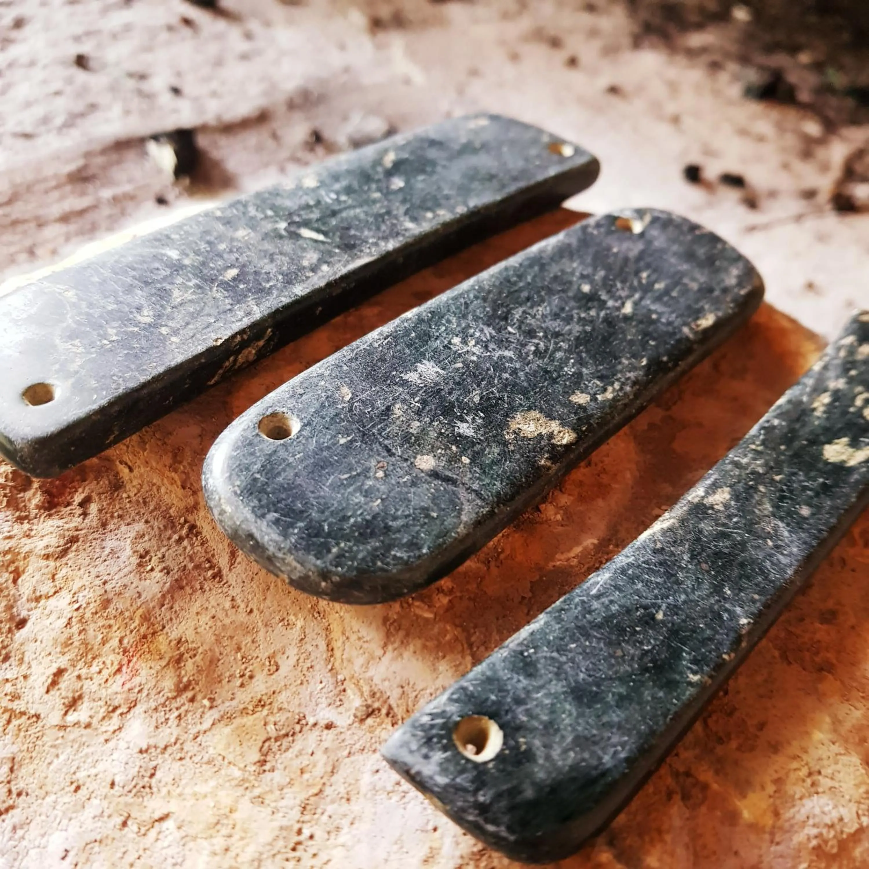 Activities in Hacienda Jimenita Wildlife Reserve