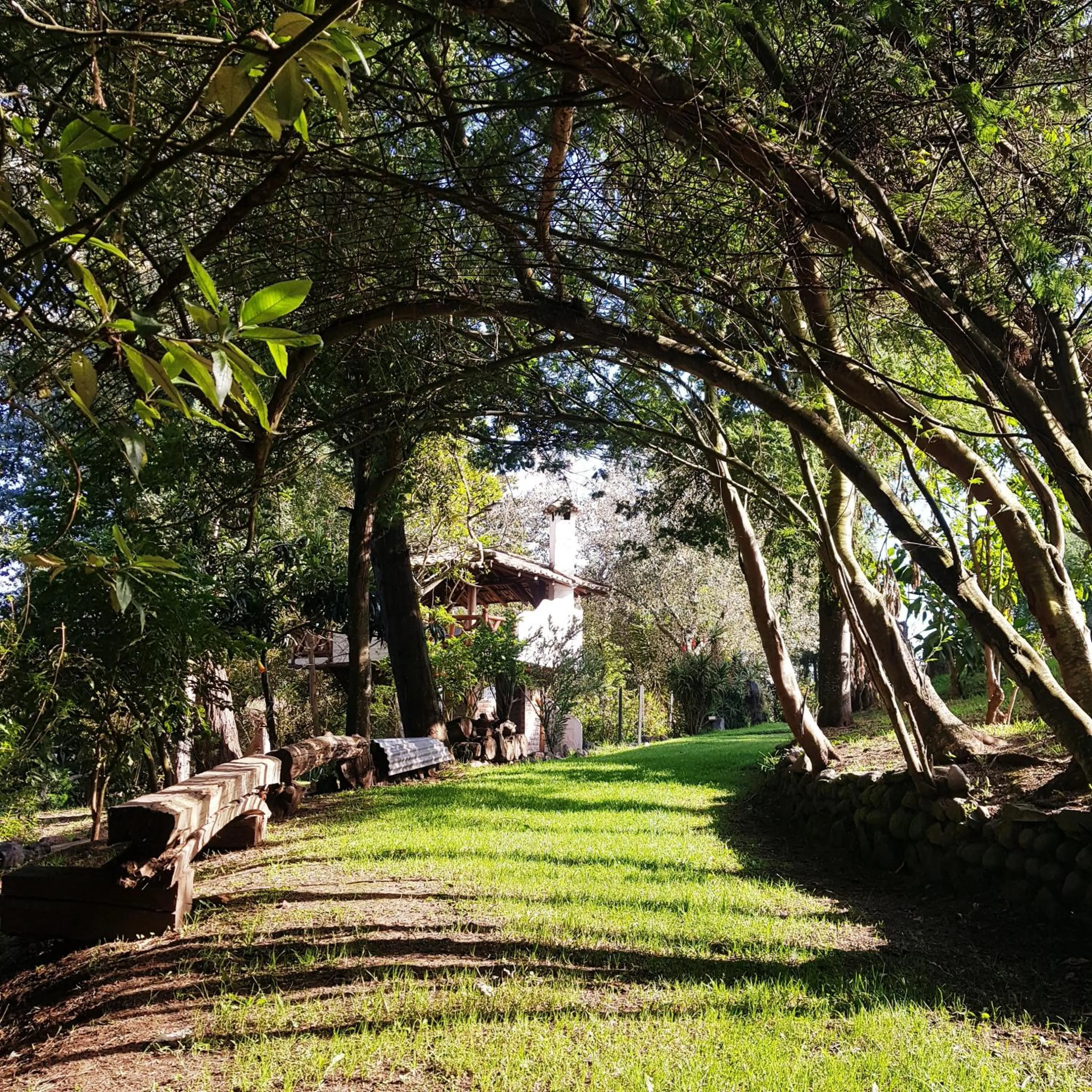 Natural landscape in Hacienda Jimenita Wildlife Reserve