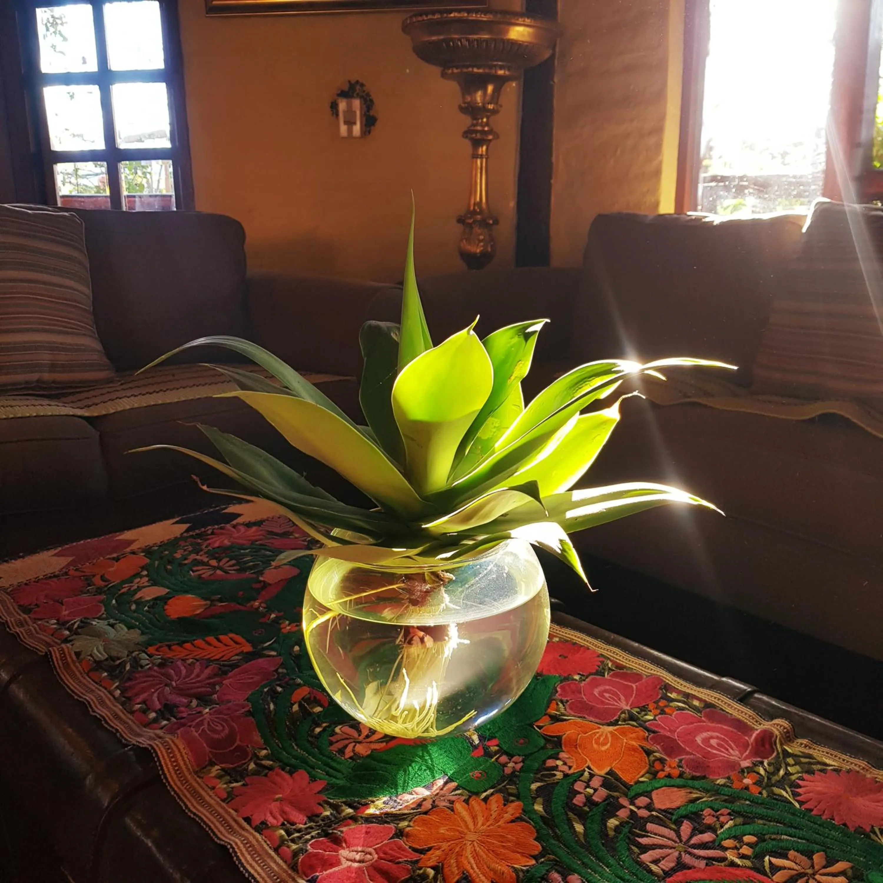 Restaurant/places to eat in Hacienda Jimenita Wildlife Reserve