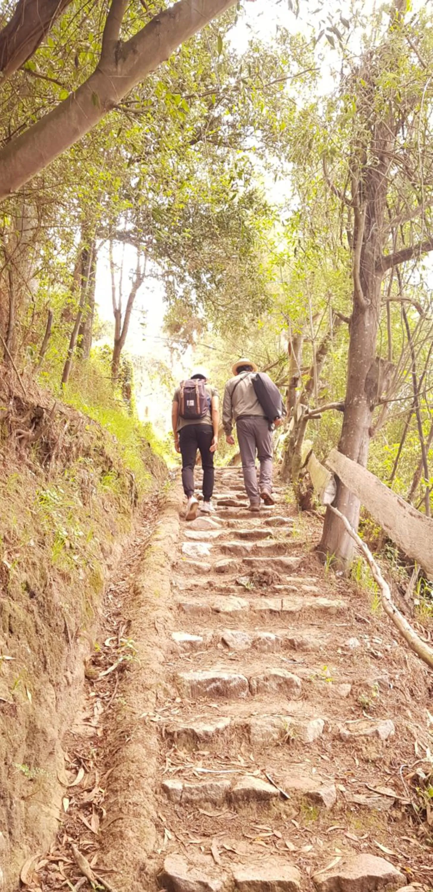Natural landscape in Hacienda Jimenita Wildlife Reserve