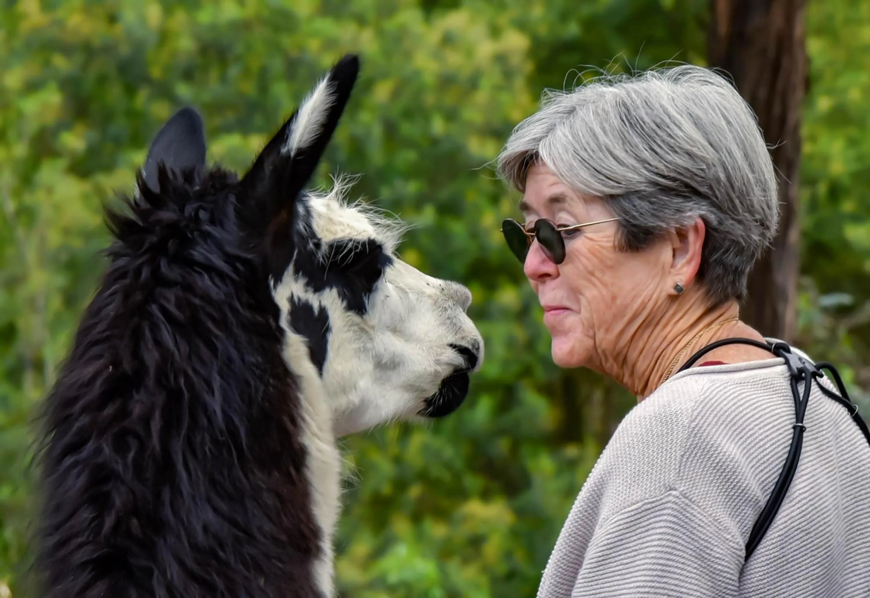 People in Hacienda Jimenita Wildlife Reserve