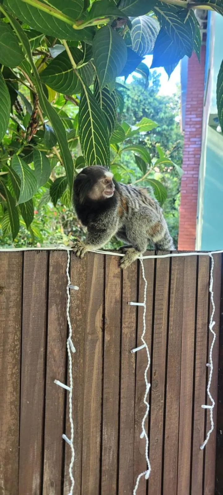 Natural landscape in Pousada Dona Francisca