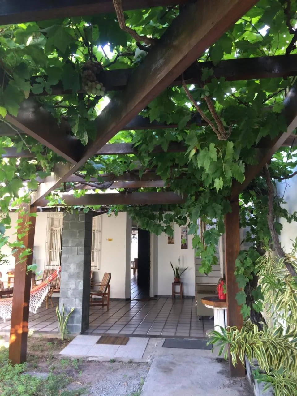 Garden view in Luz & Mar