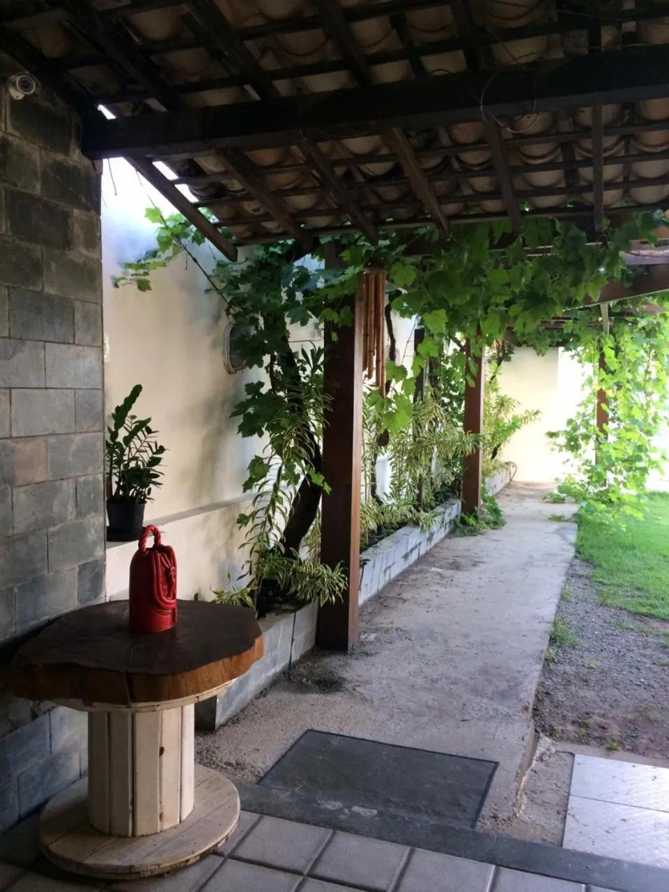 Garden view in Luz & Mar