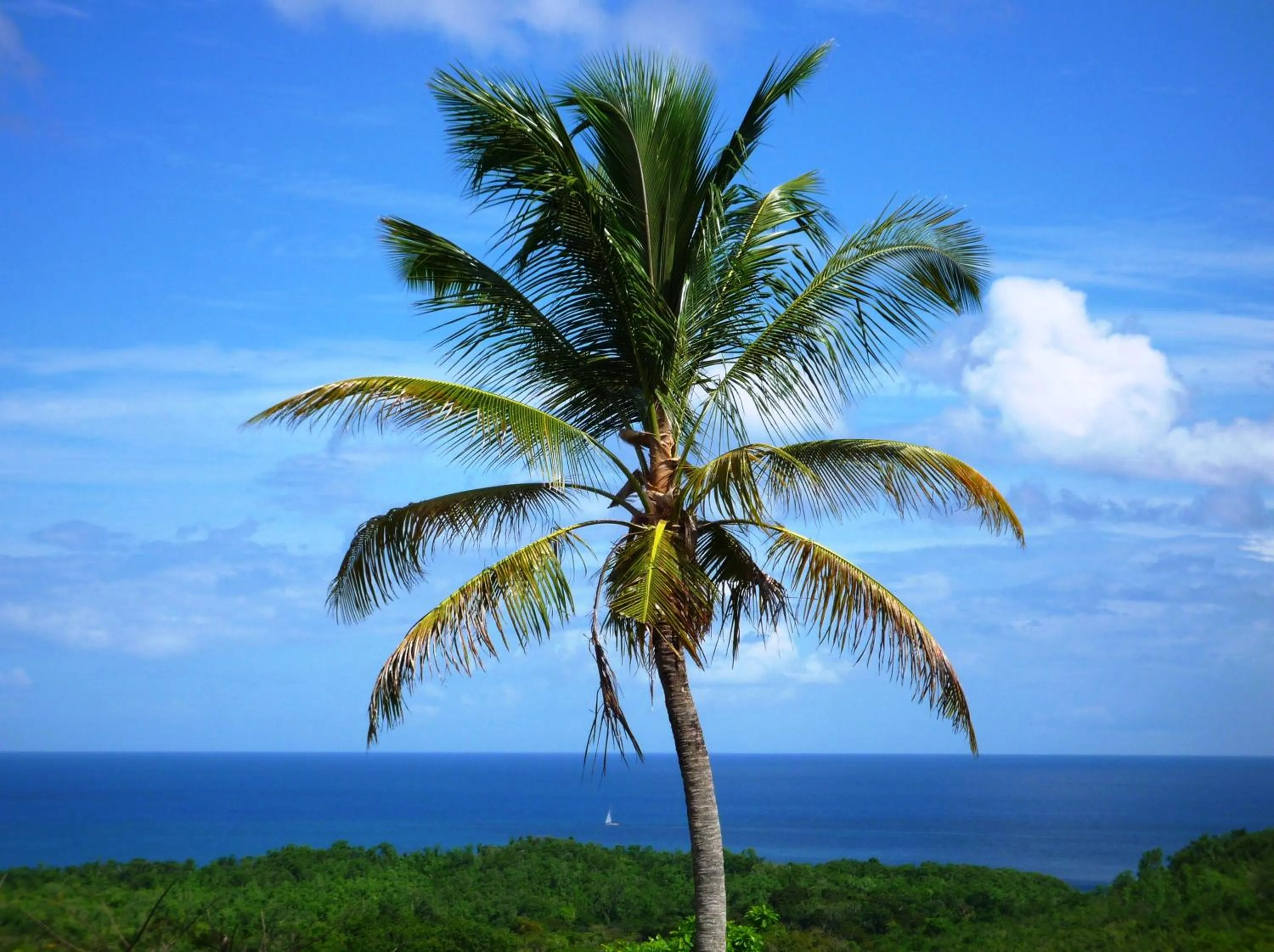 Day in Domaine de l'Anse Ramier