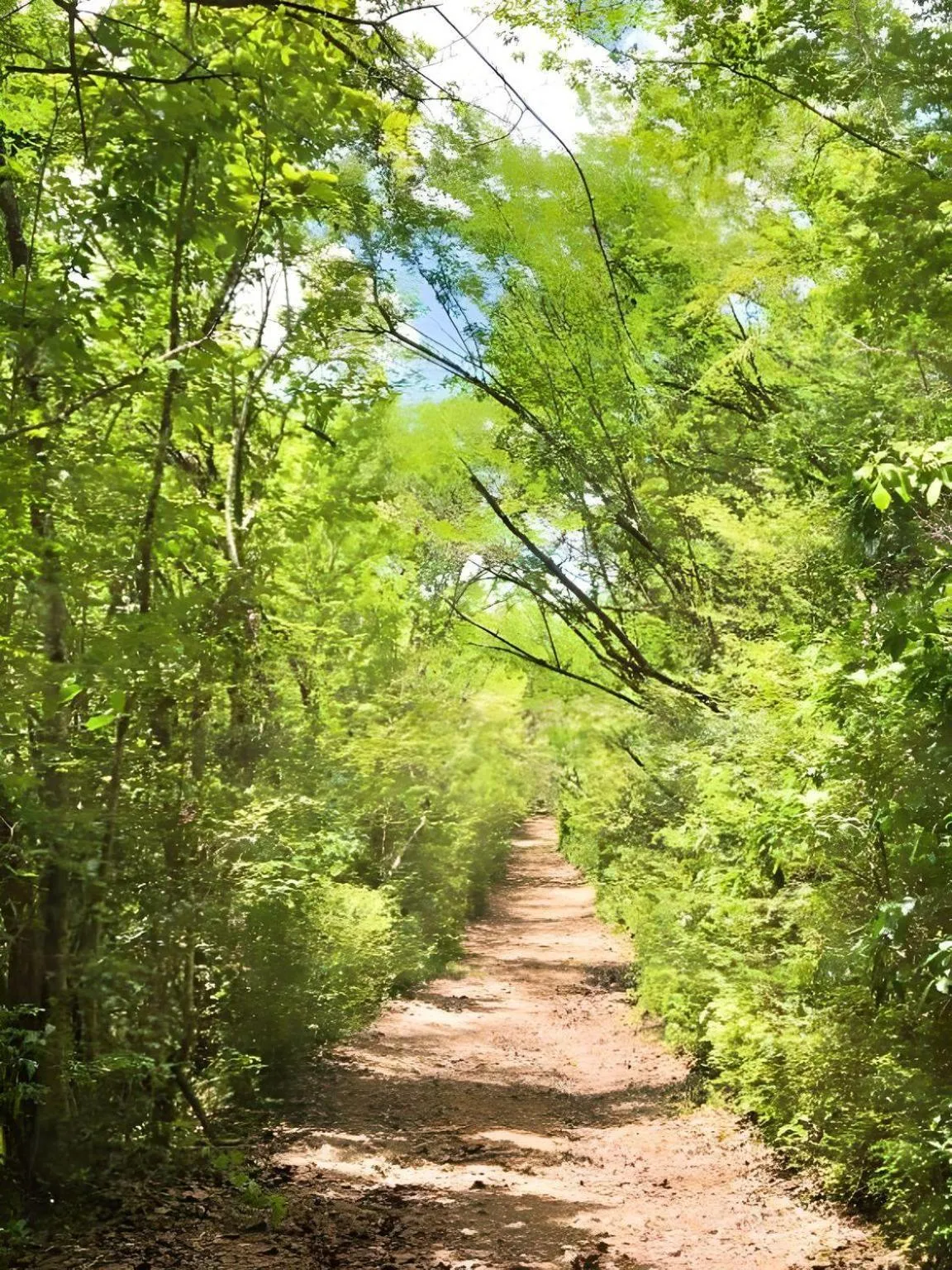 Day in Domaine de l'Anse Ramier