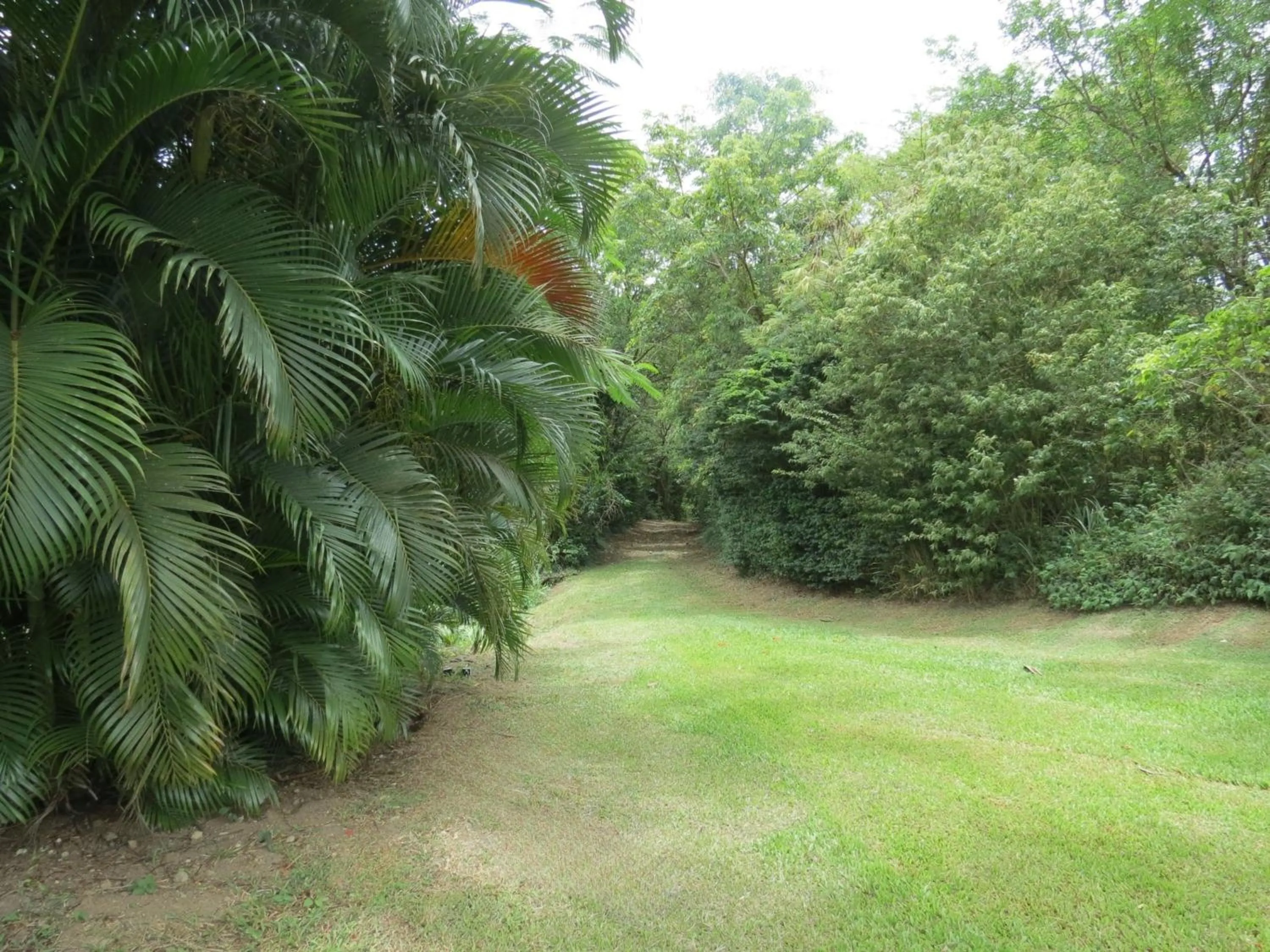 Garden in Domaine de l'Anse Ramier