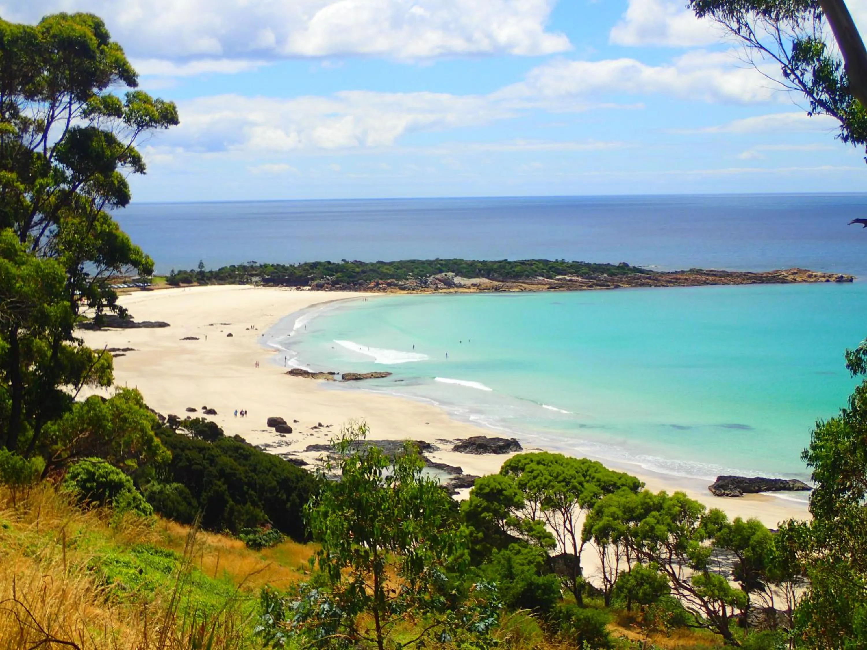 Natural landscape in Blakes Manor Self Contained Heritage Accommodation