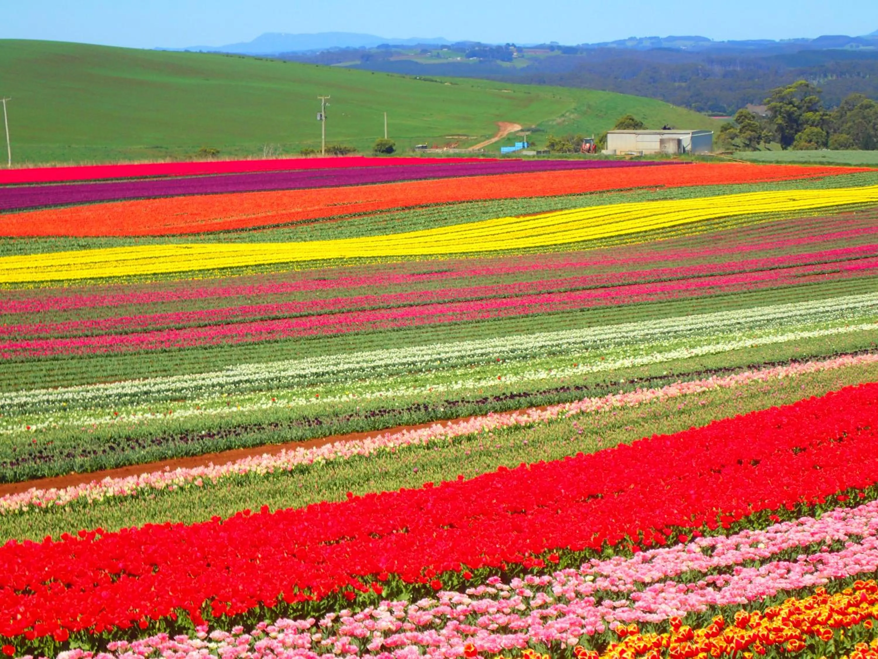 Natural landscape in Blakes Manor Self Contained Heritage Accommodation
