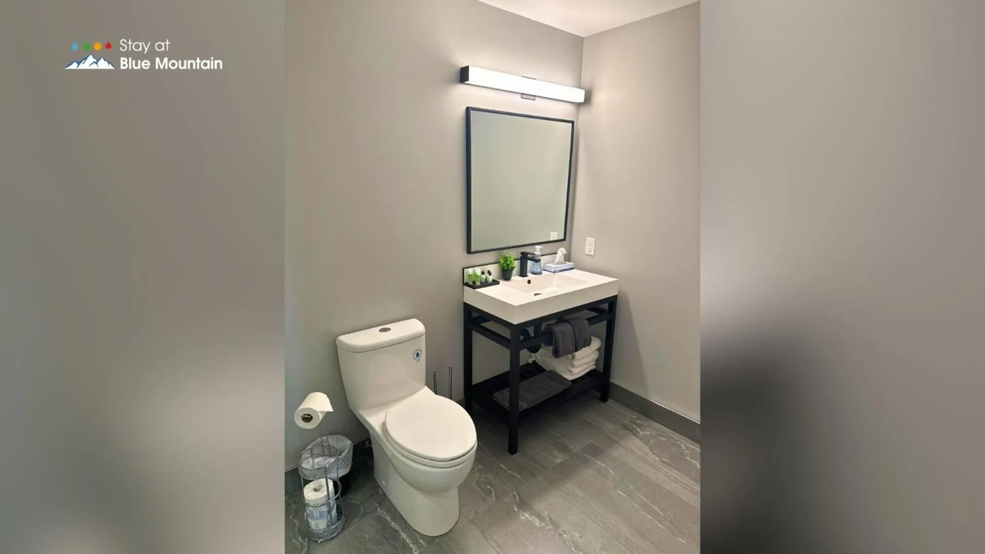 Bathroom in Orchard Run Chalet