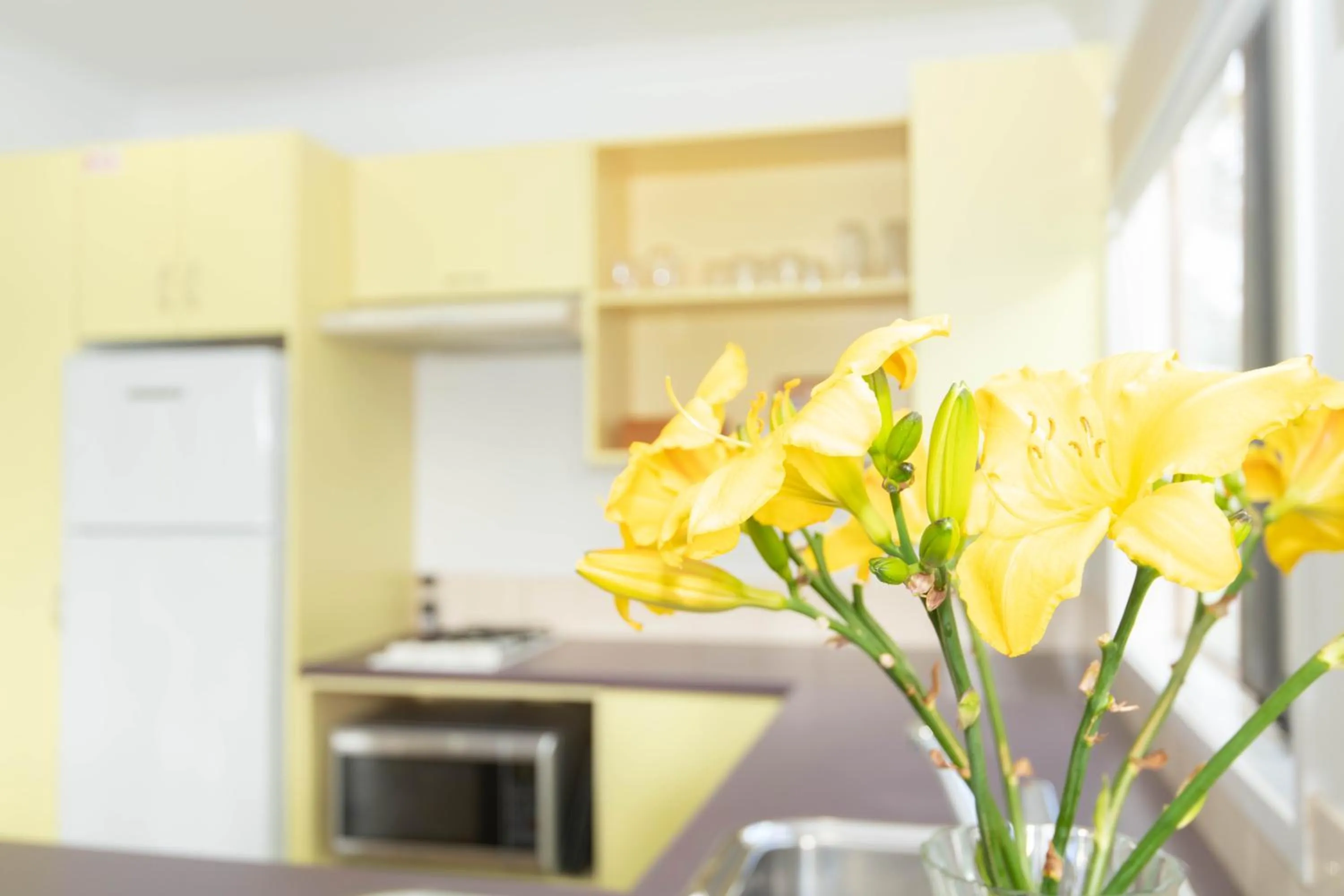 kitchen in Poinciana Cottages