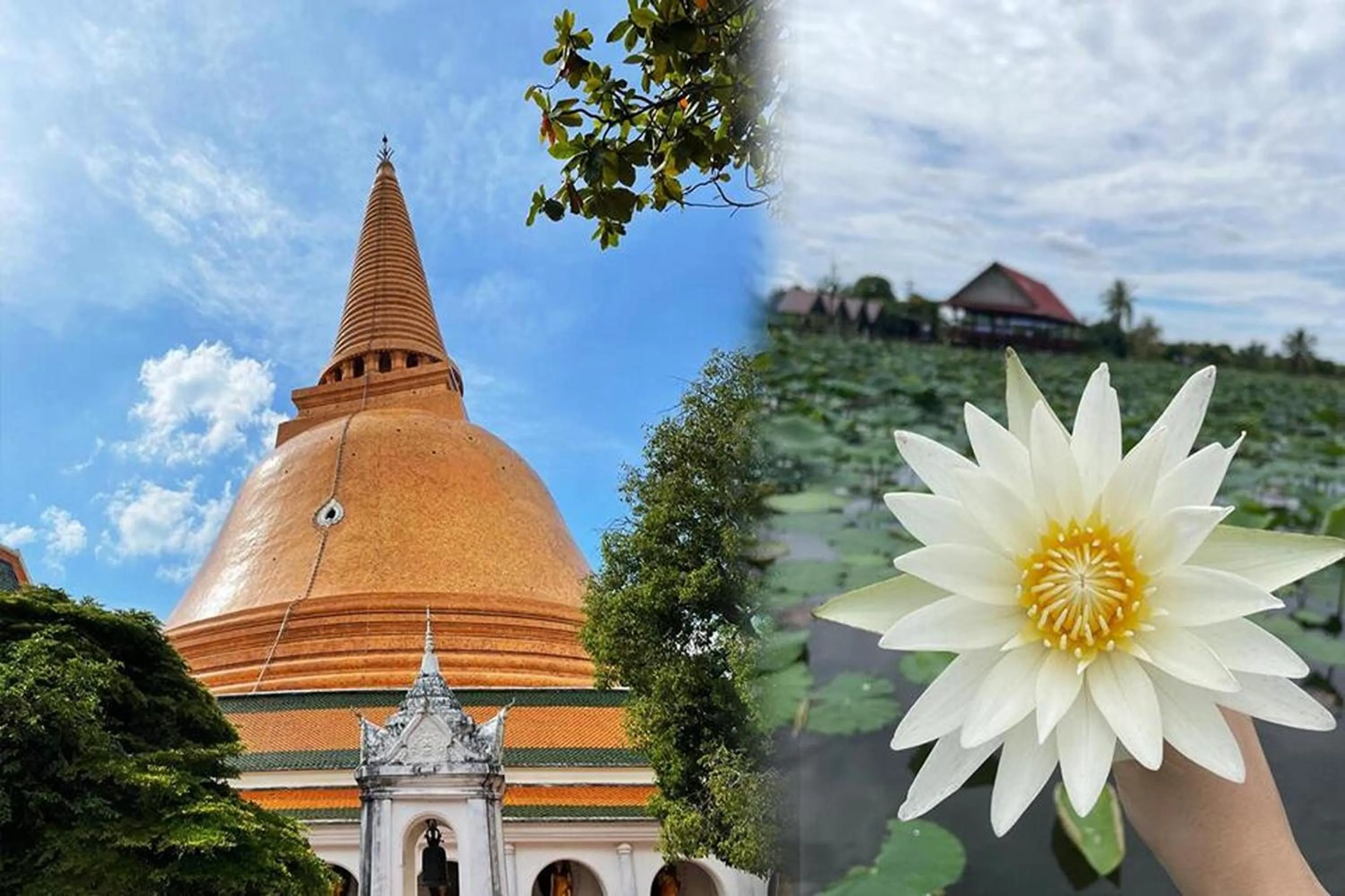 Nearby landmark in Blue26