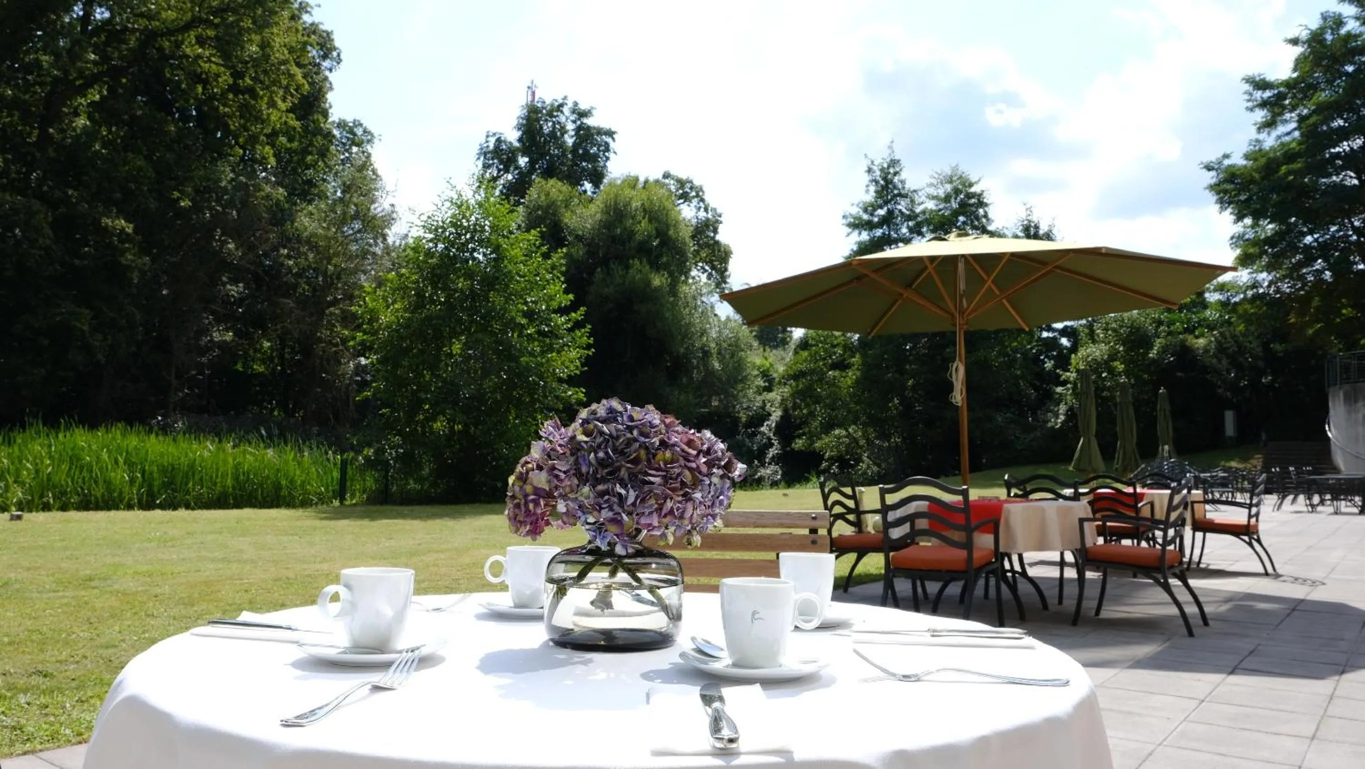 Garden in Ramada by Wyndham Duesseldorf Ratingen