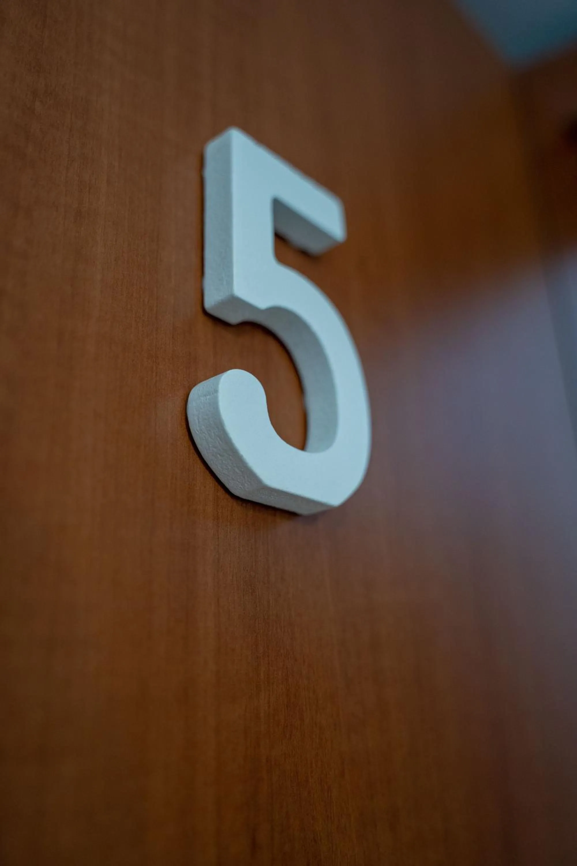 Molo 5