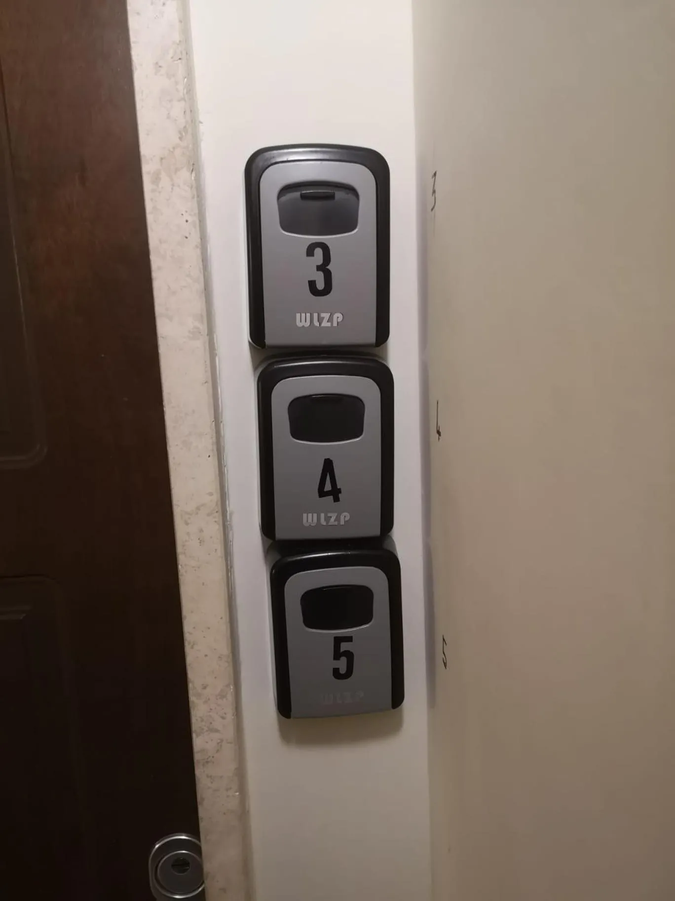 Molo 5