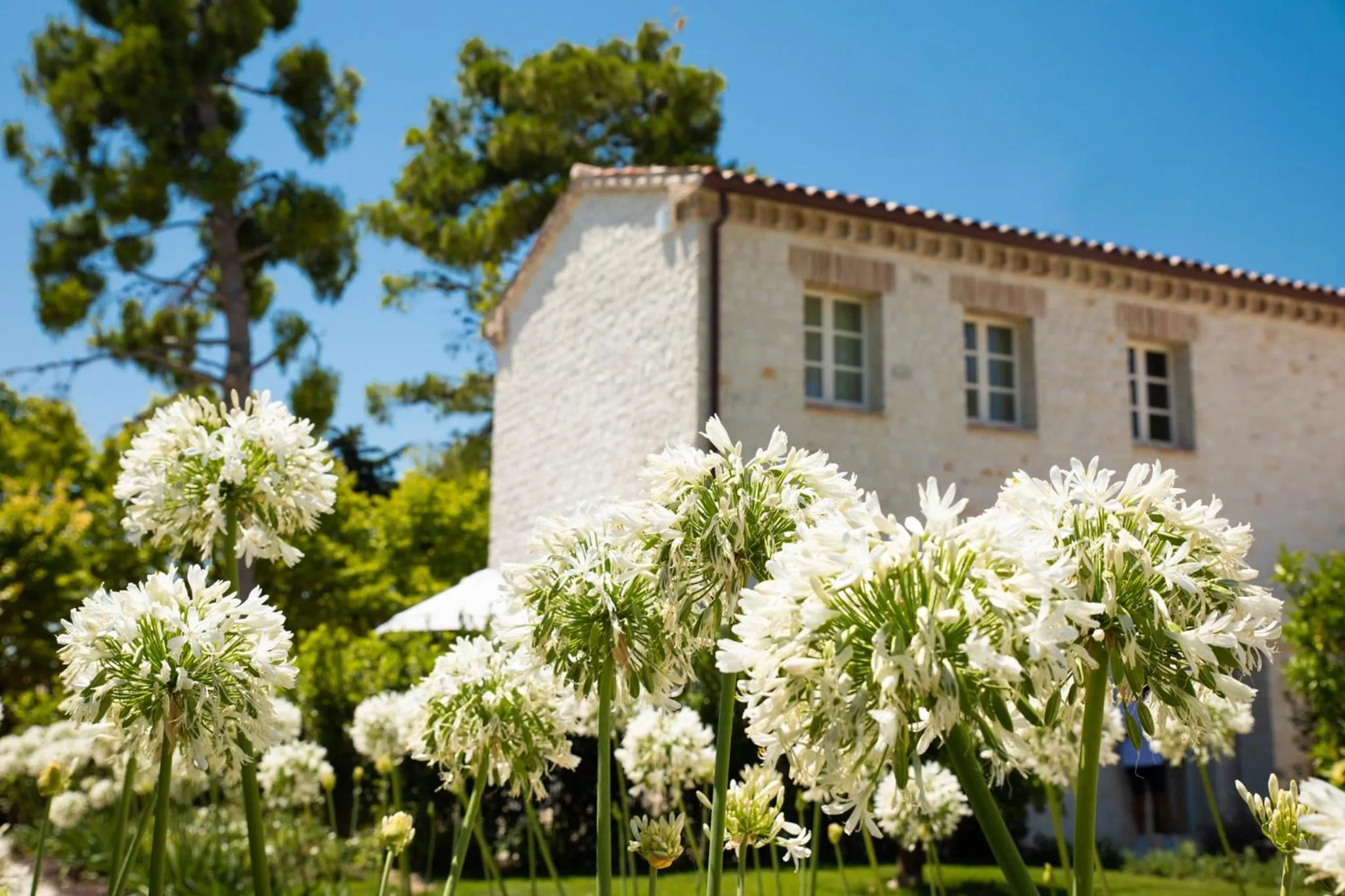 Property building in San Michele Relais & Spa