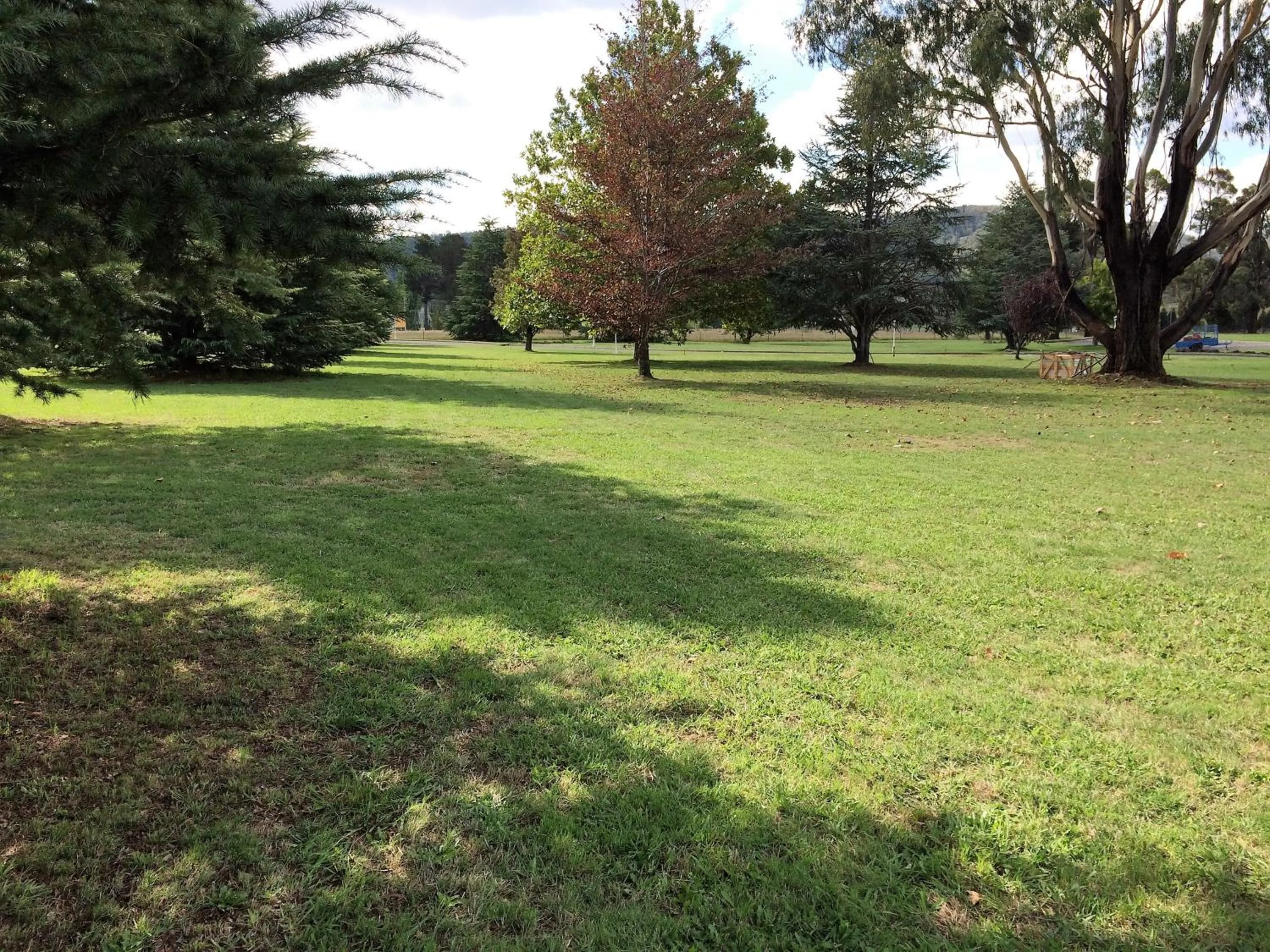 Garden view in Bushman's Motor Inn