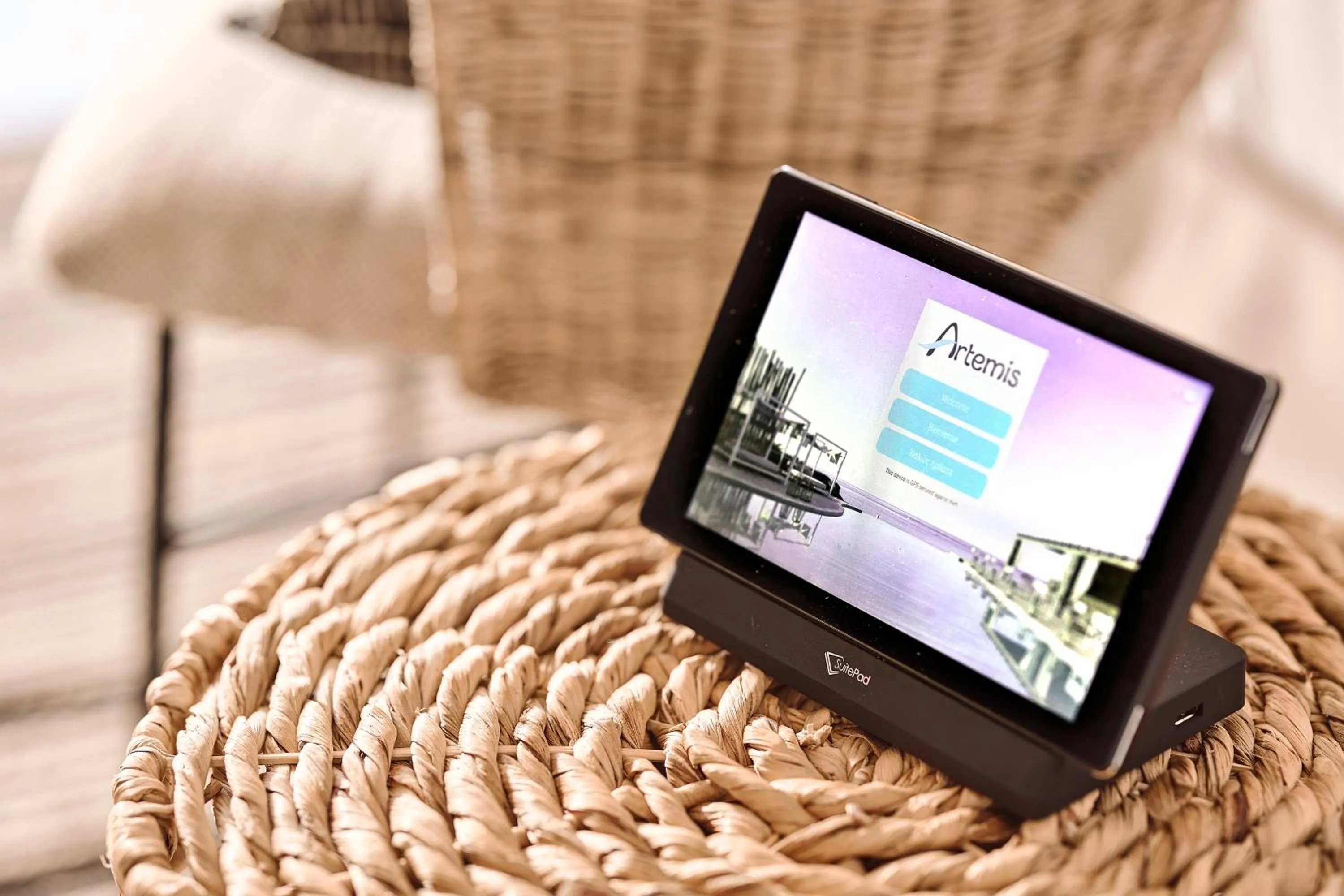 TV and multimedia in Artemis Seaside Resort