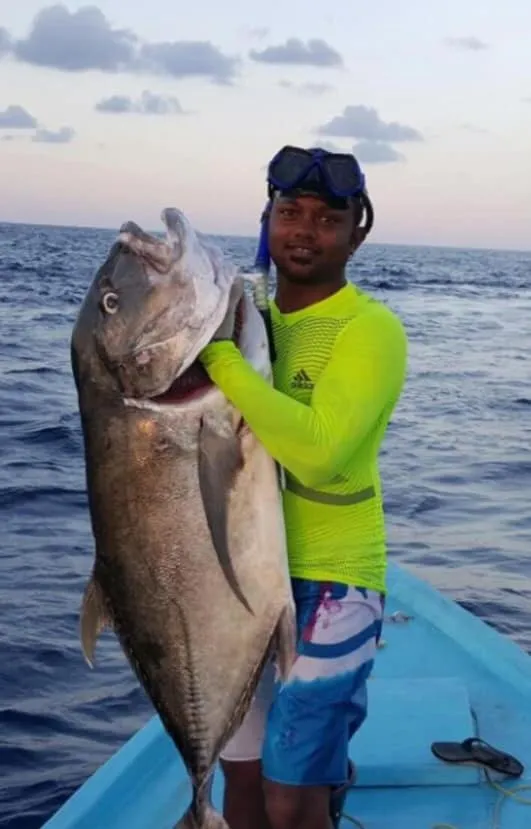 Fishing in Charming Holiday Lodge