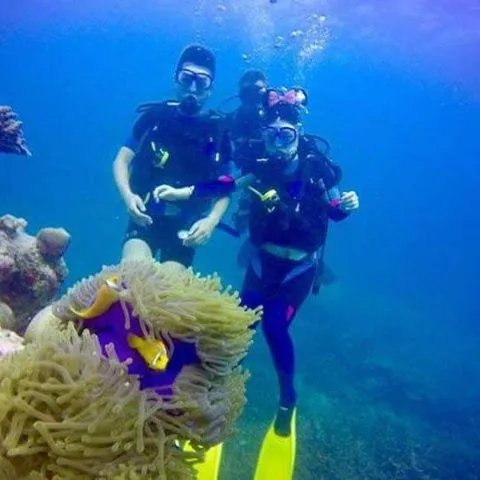 Diving in Charming Holiday Lodge