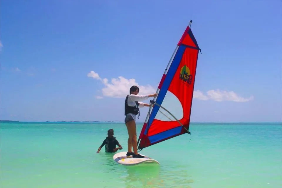 Windsurfing in Charming Holiday Lodge