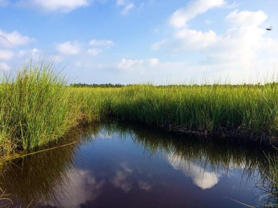 View (from property/room) in Charming Holiday Lodge