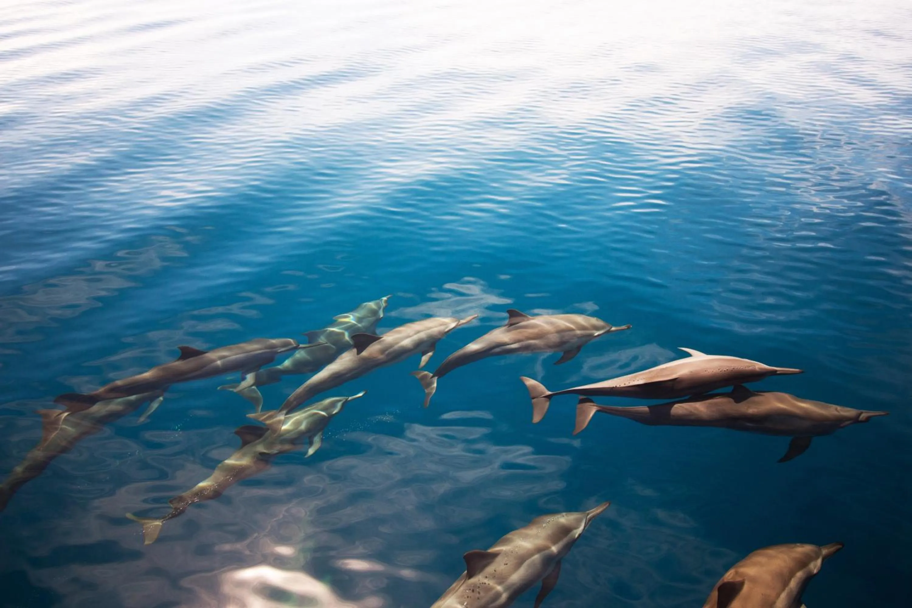 Day in Charming Holiday Lodge