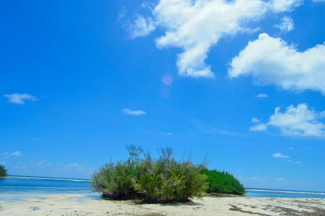 Natural landscape in Charming Holiday Lodge