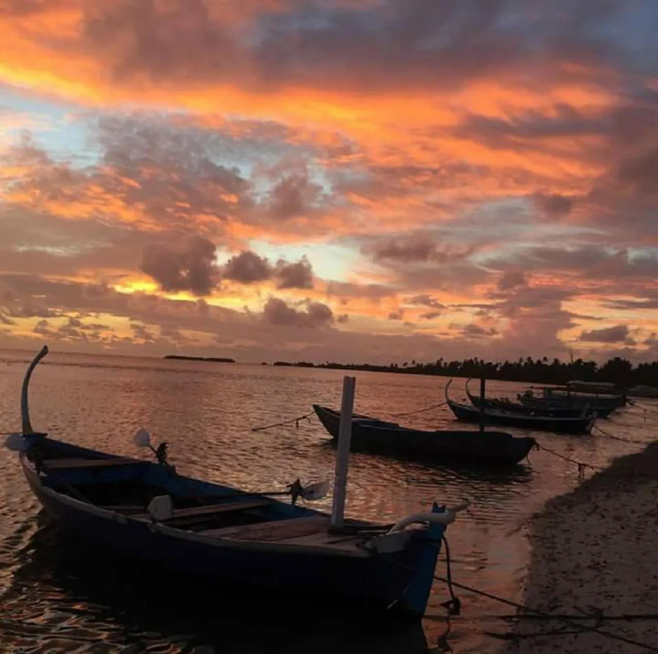 Fishing in Charming Holiday Lodge