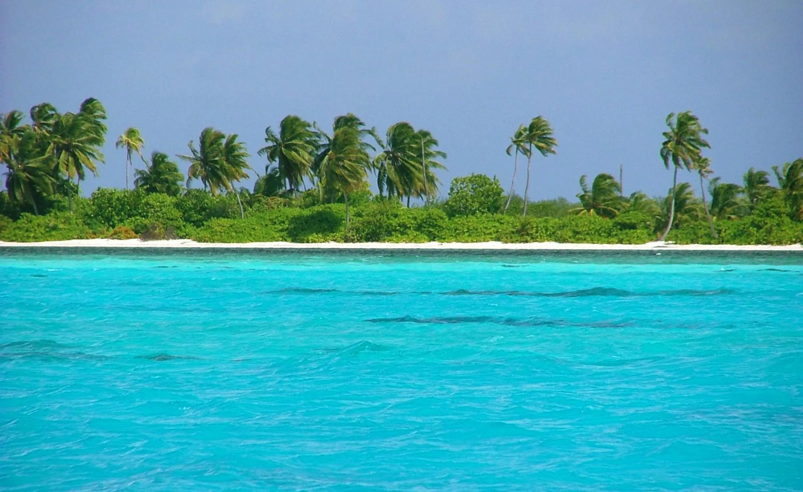 Beach in Charming Holiday Lodge