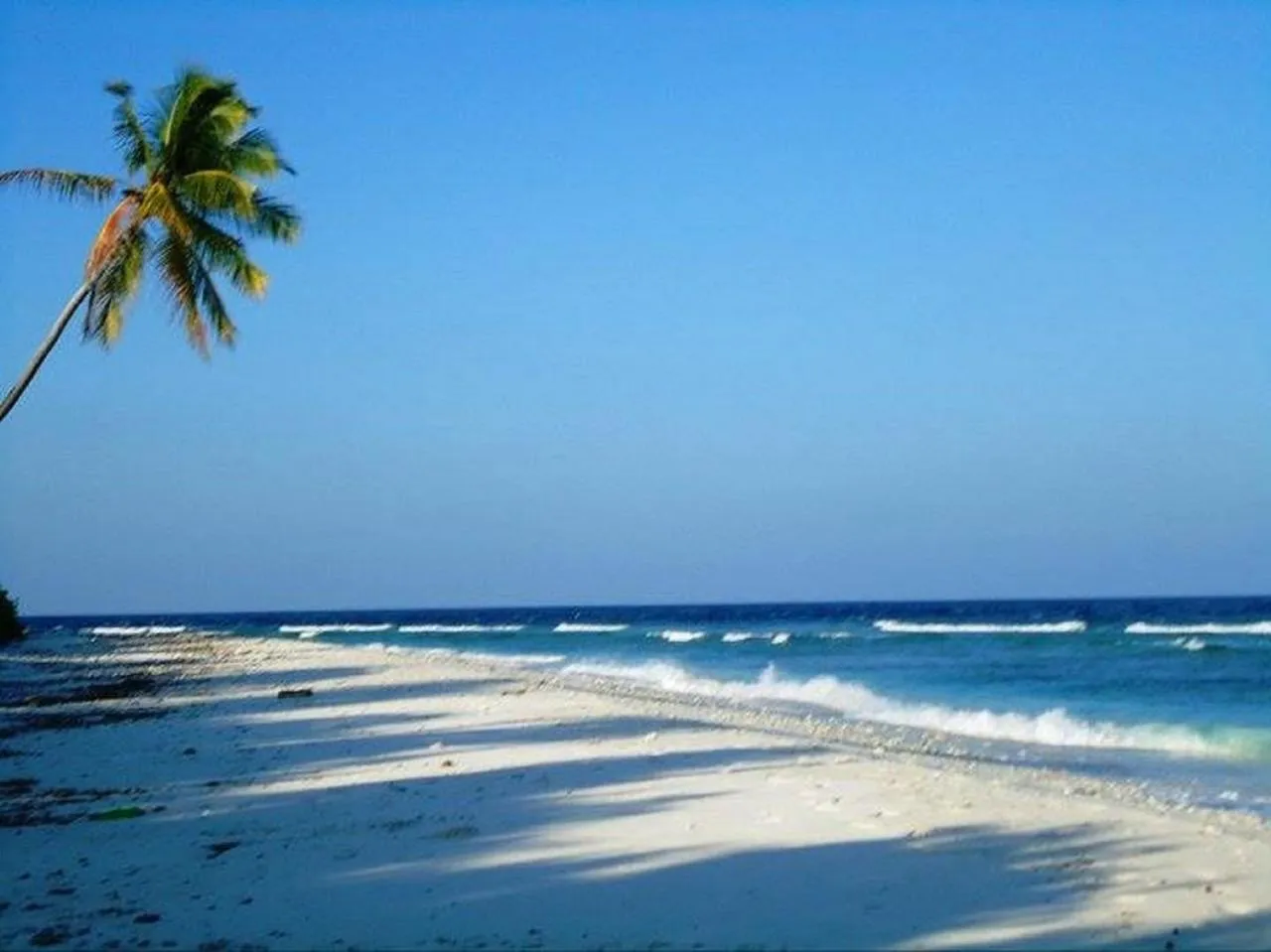 Beach in Charming Holiday Lodge