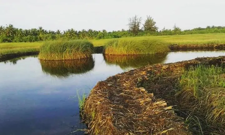 Charming Holiday Lodge