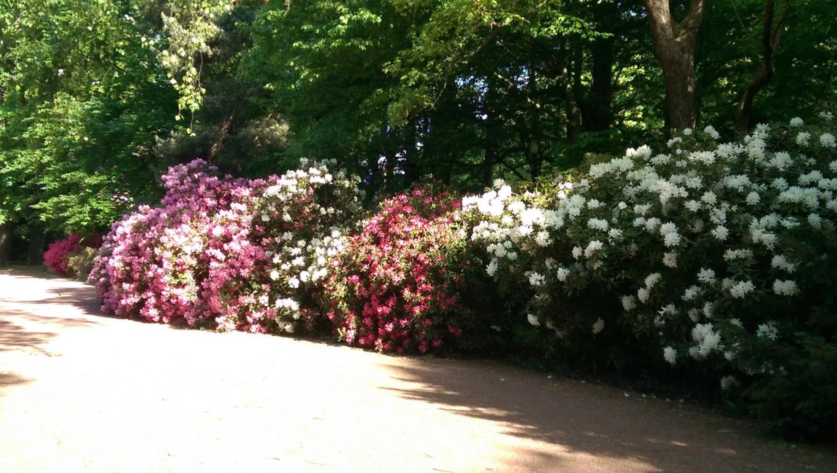 Off site in Congress Hotel am Stadtpark