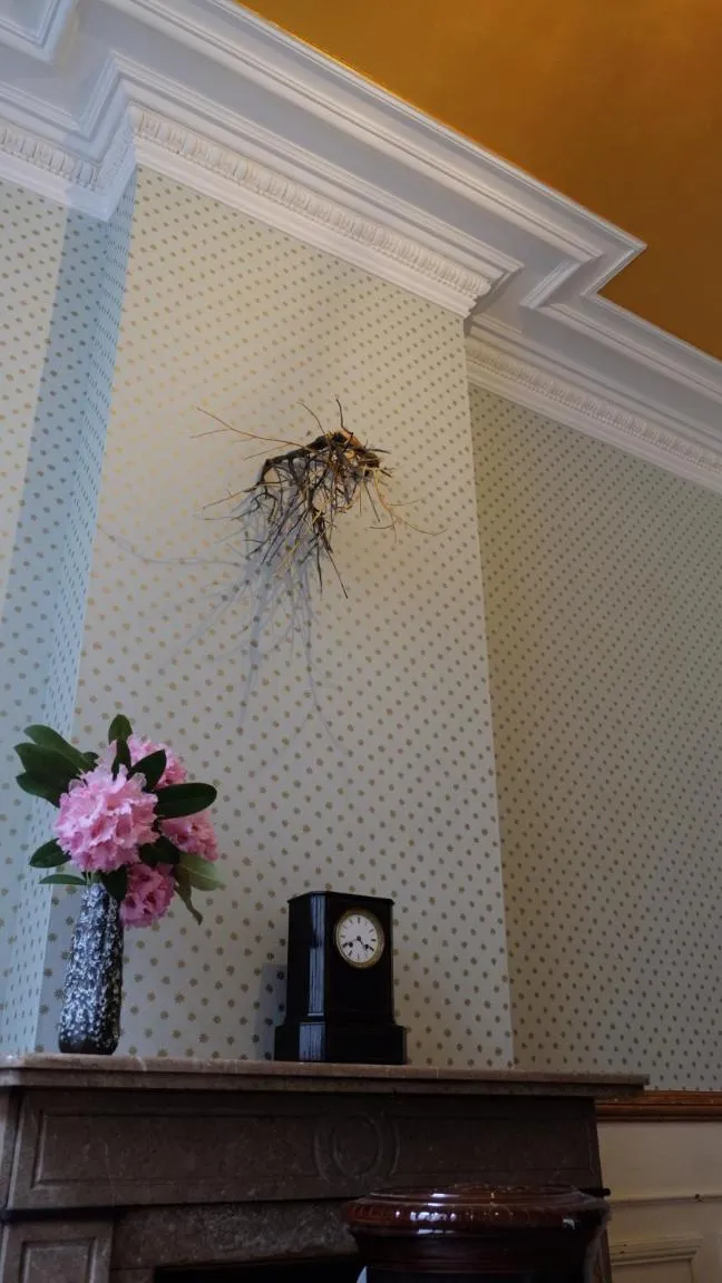 Breakfast in B&B Villa Thibault