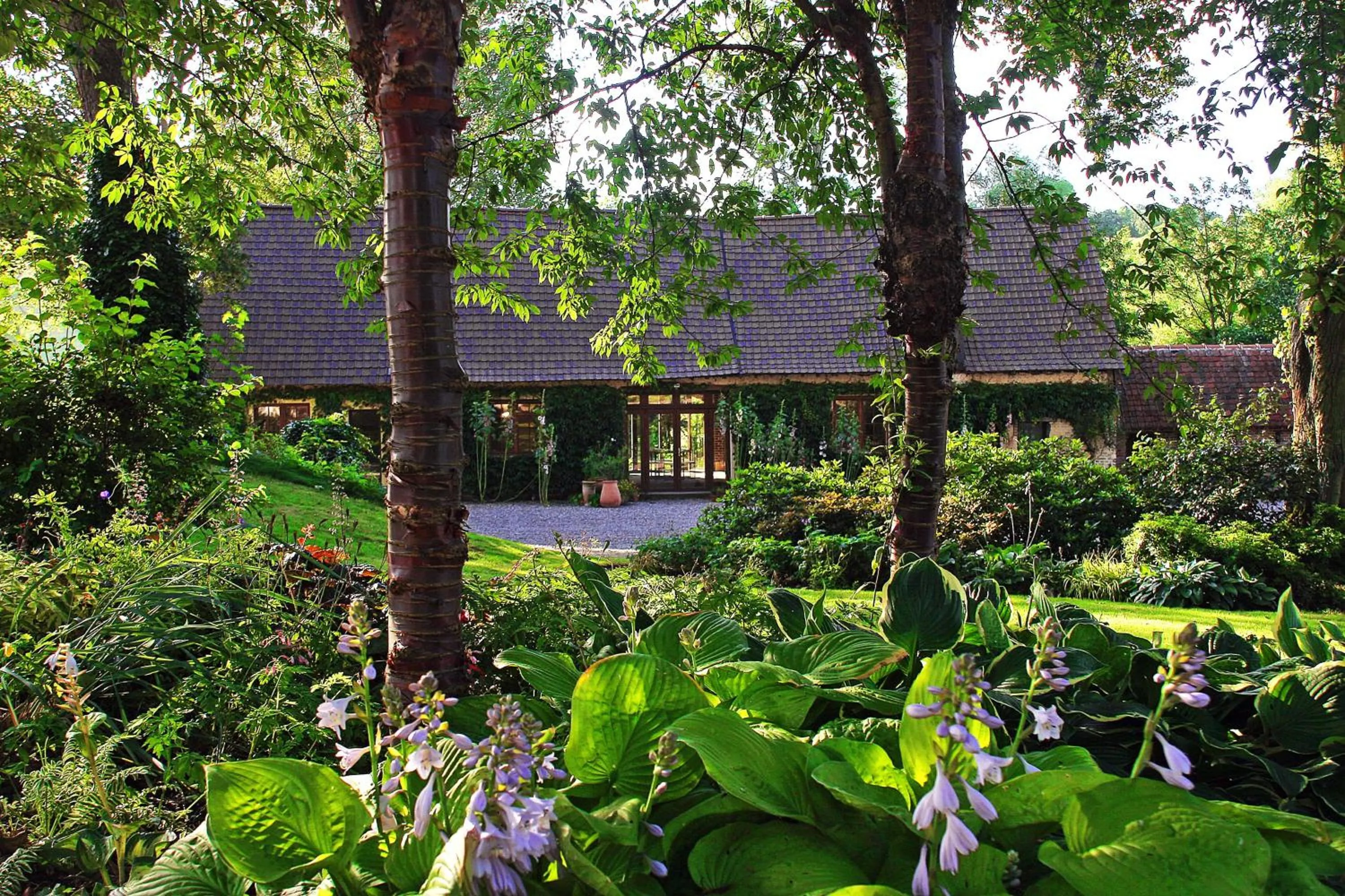 Property building in Château d'Harcelaines