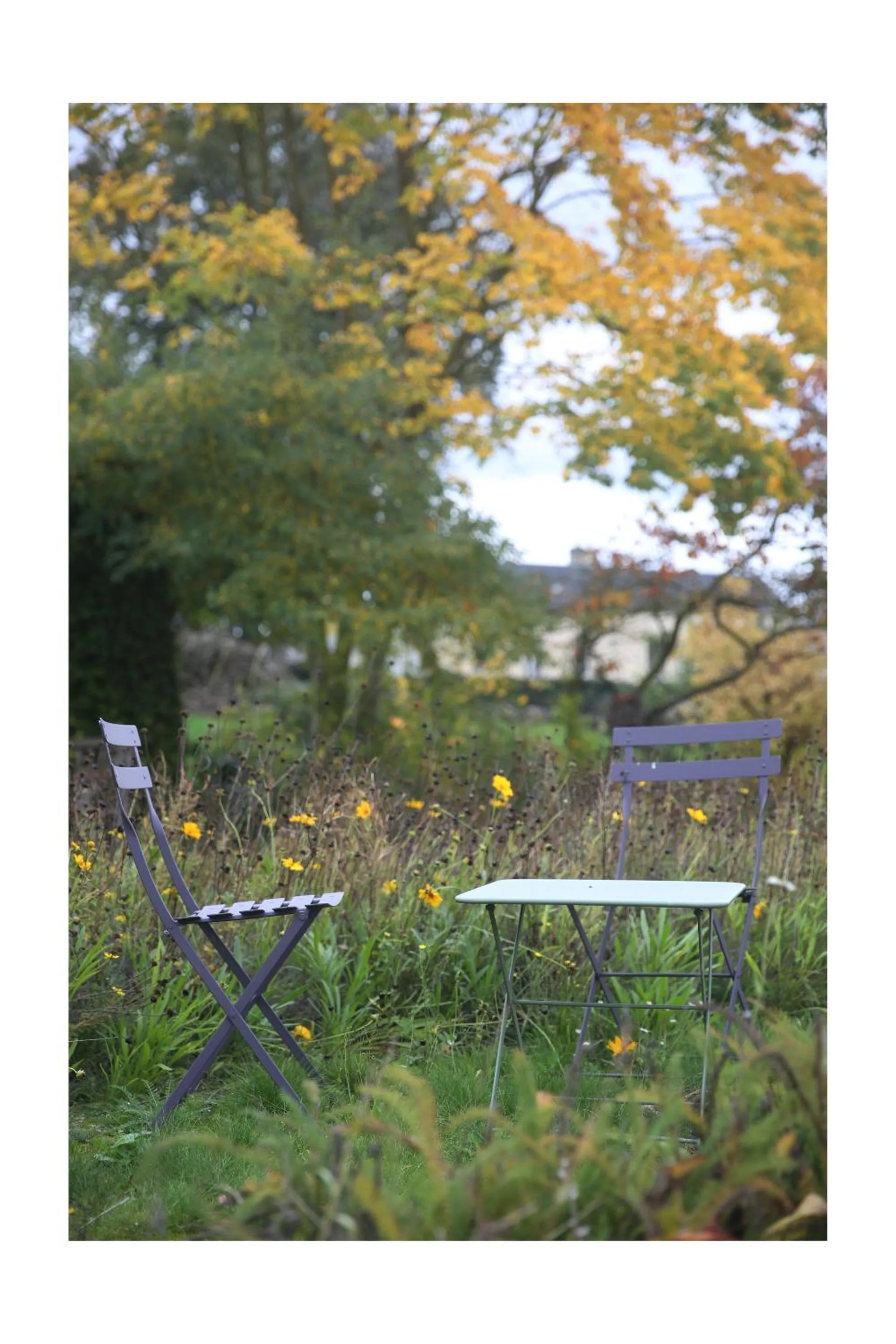 Garden in Château d'Harcelaines