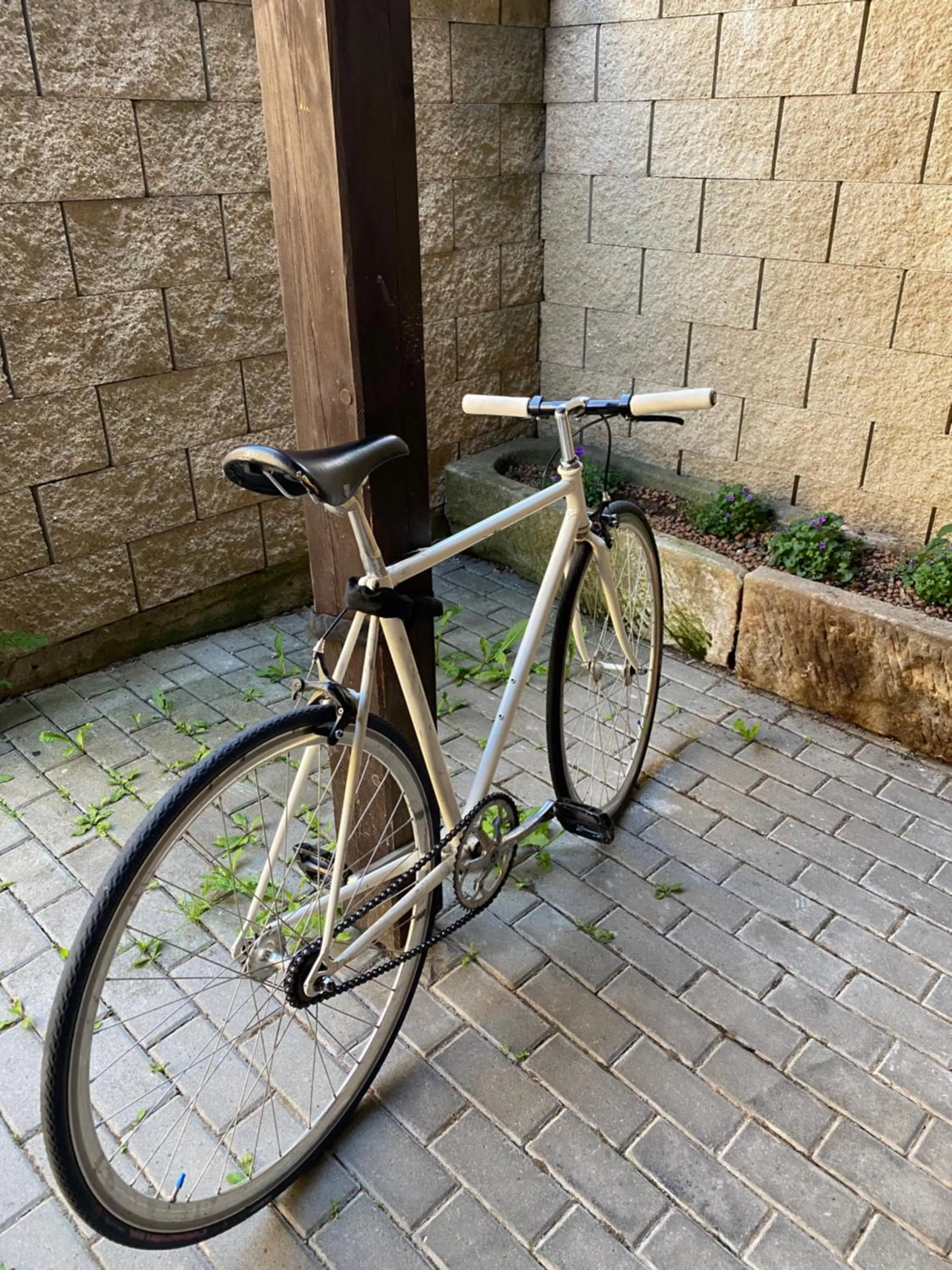 Property building in Lomnice nad Popelkou