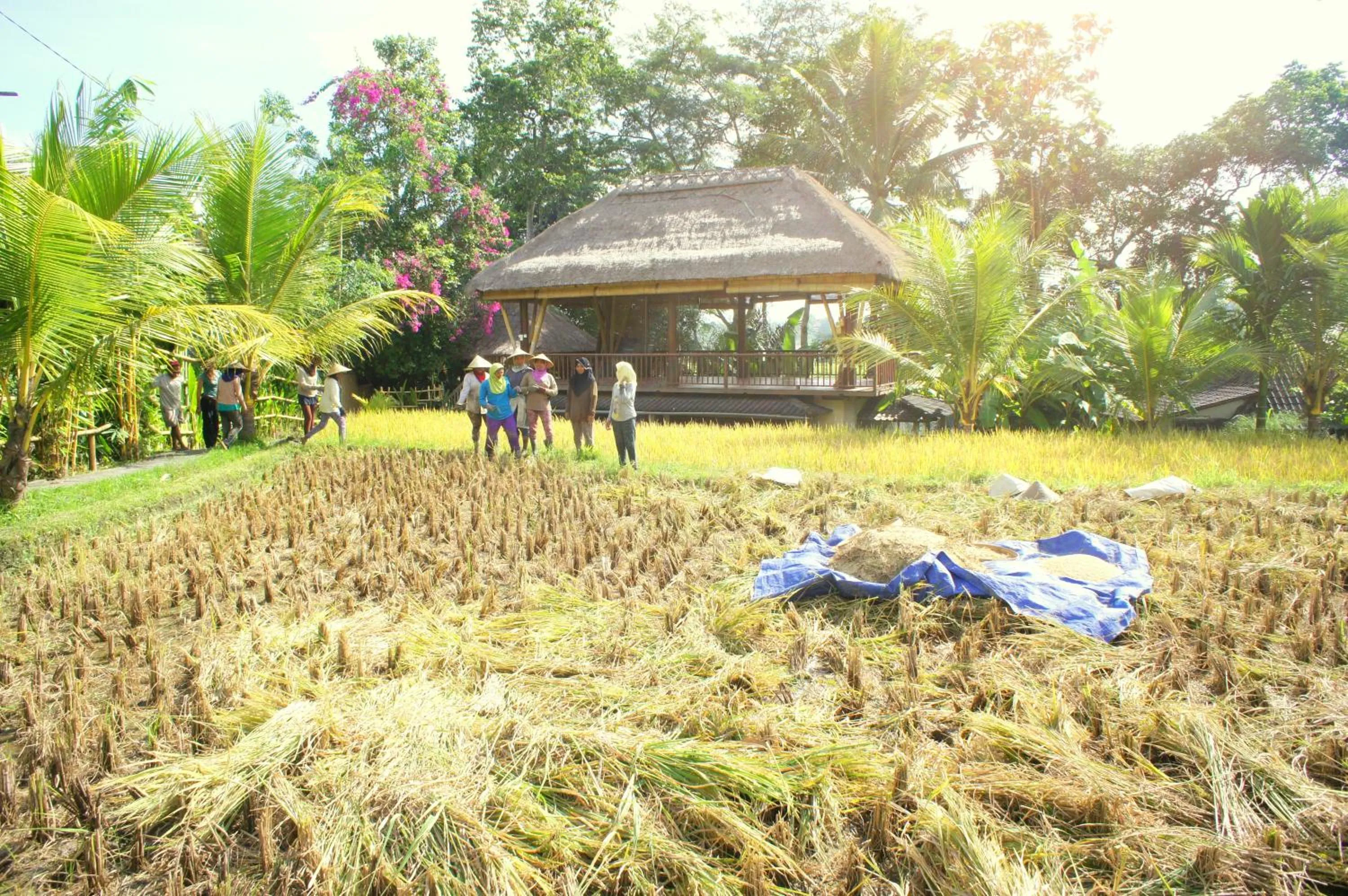 Property building in Prashanti Bali