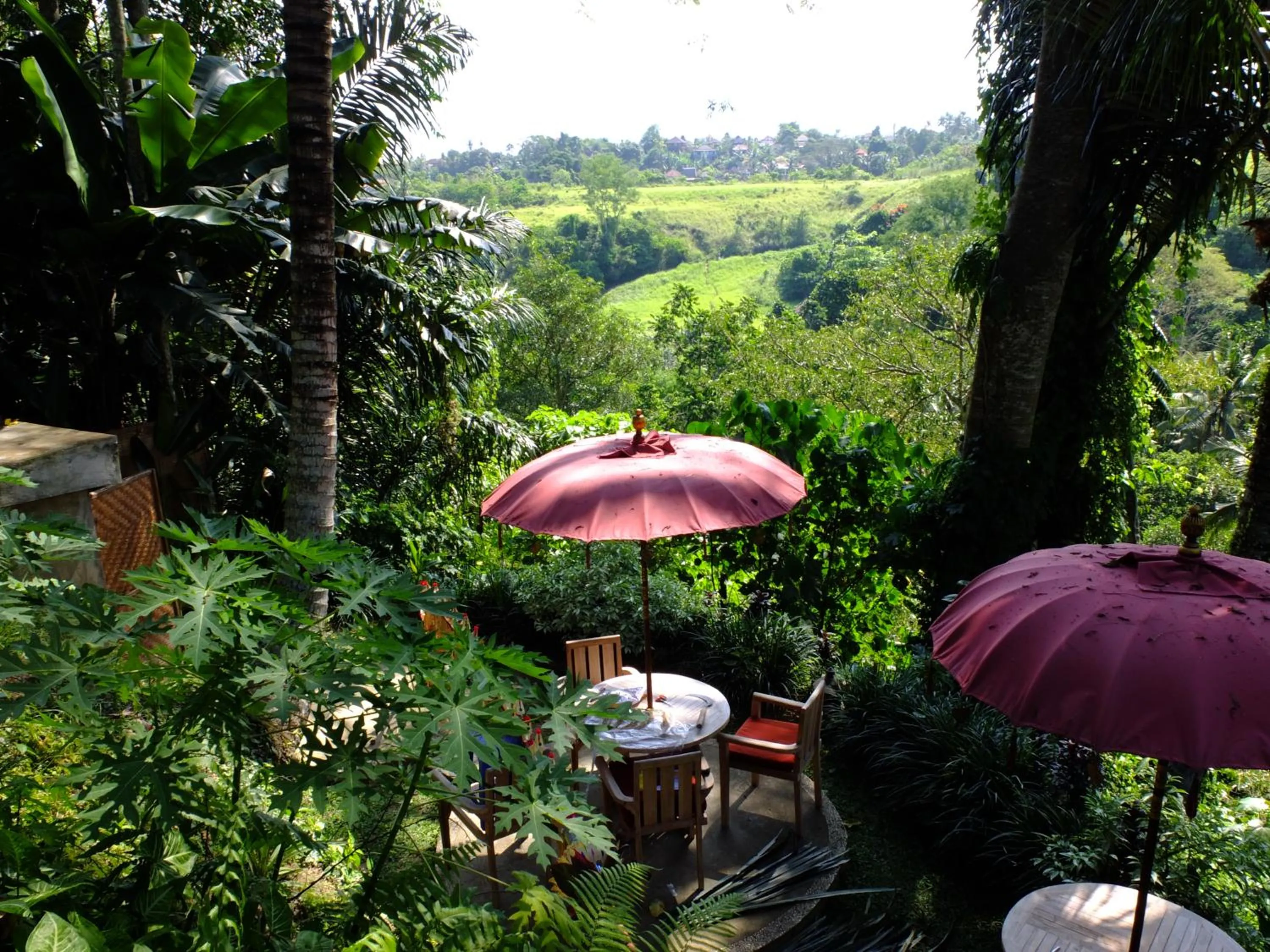 Patio in Prashanti Bali