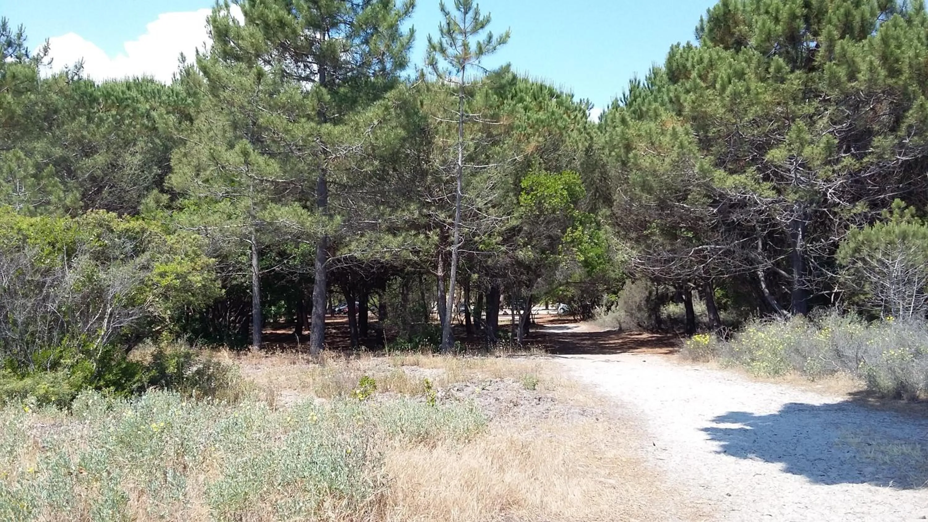 Natural landscape in Franceschini
