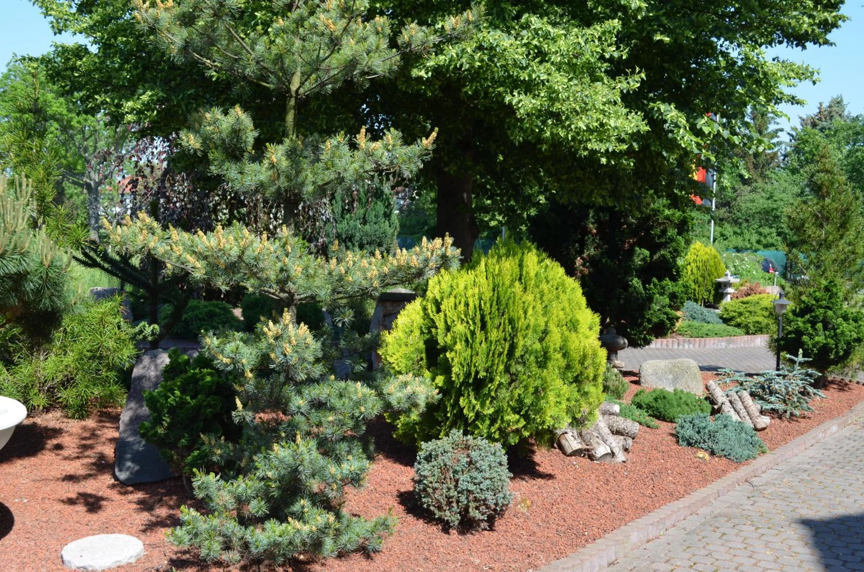 Garden in Hotel 3 Linden