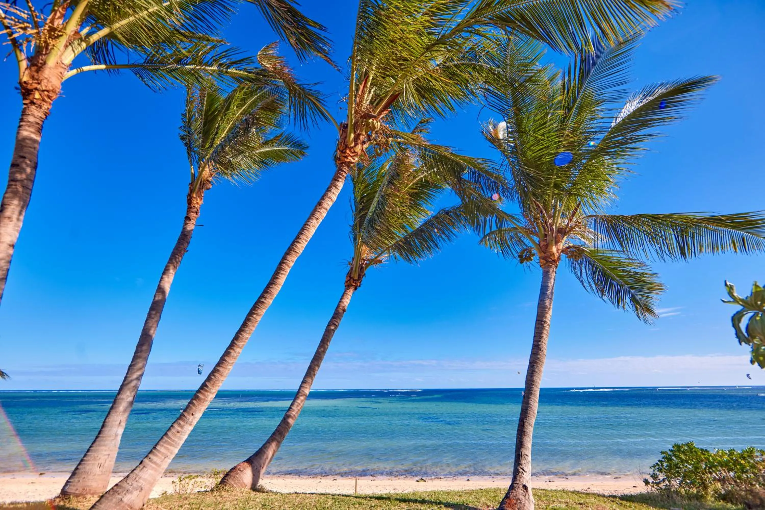 Day in Riu Turquoise - All Inclusive