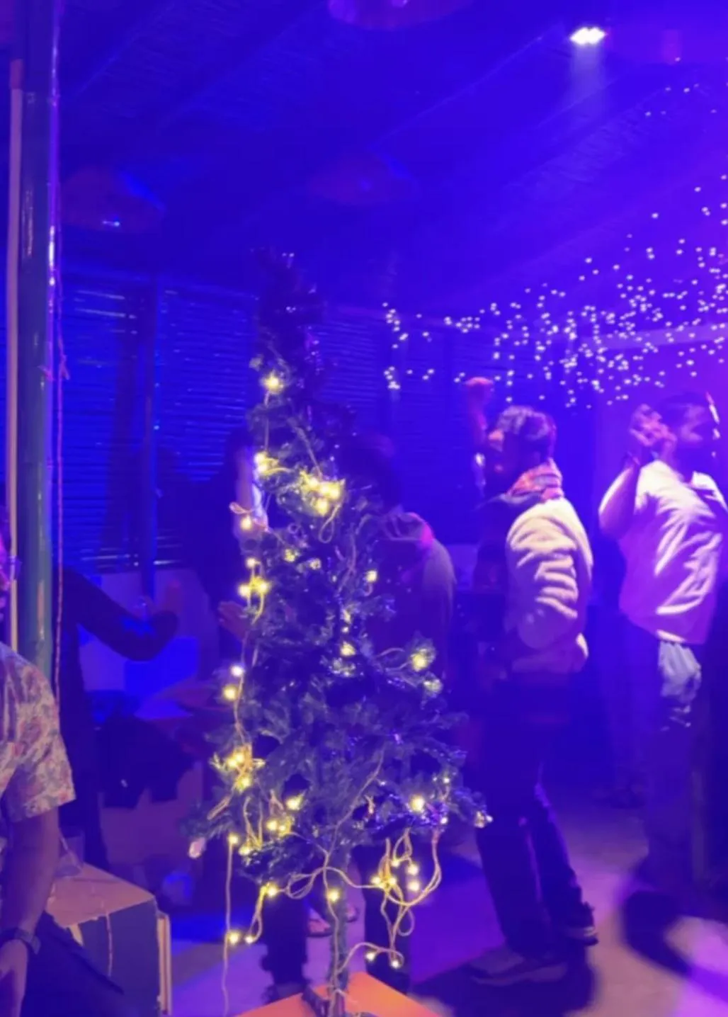 Madsquad Hostel Dorms & Rooms