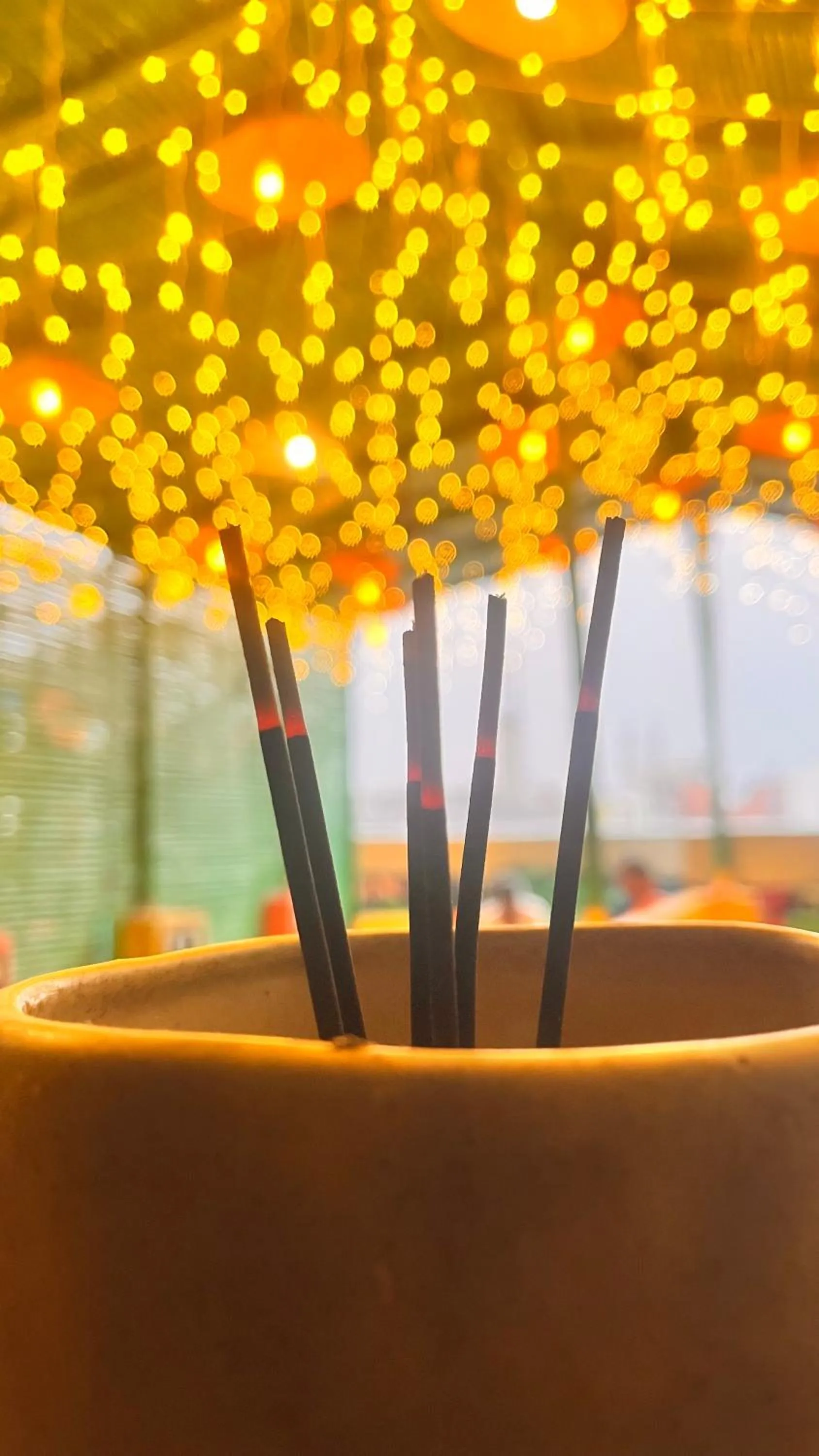 Day in Madsquad Hostel Dorms & Rooms